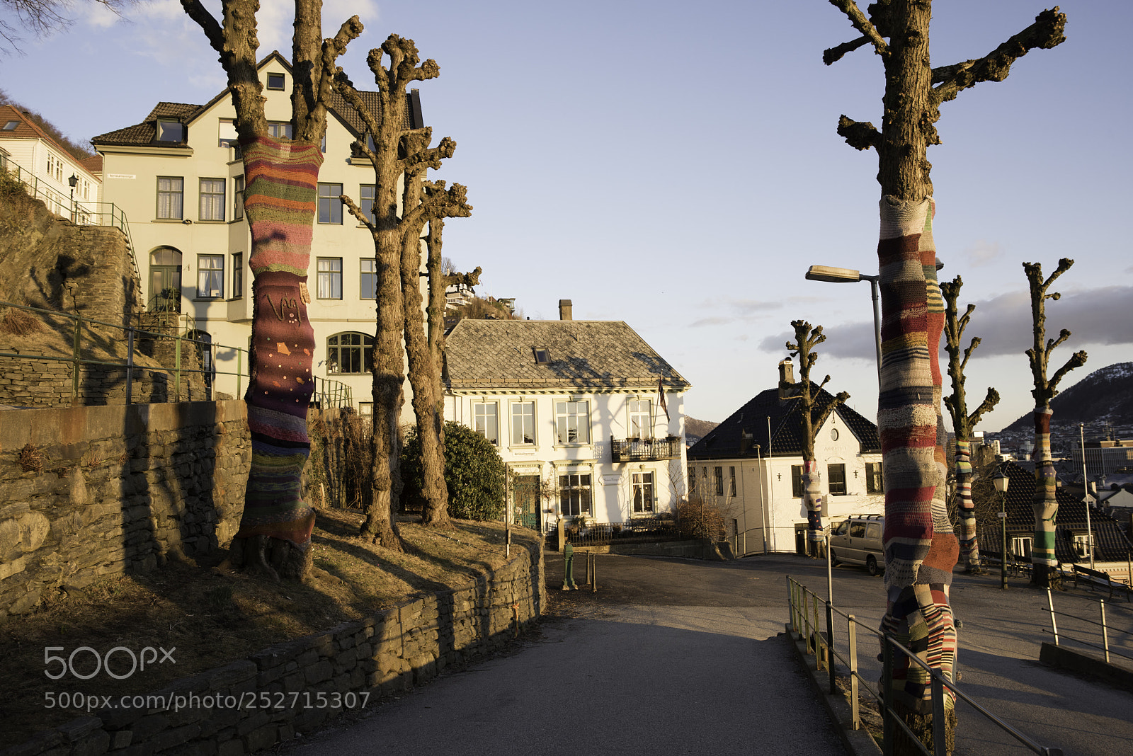 Nikon D810 sample photo. Bergen photography