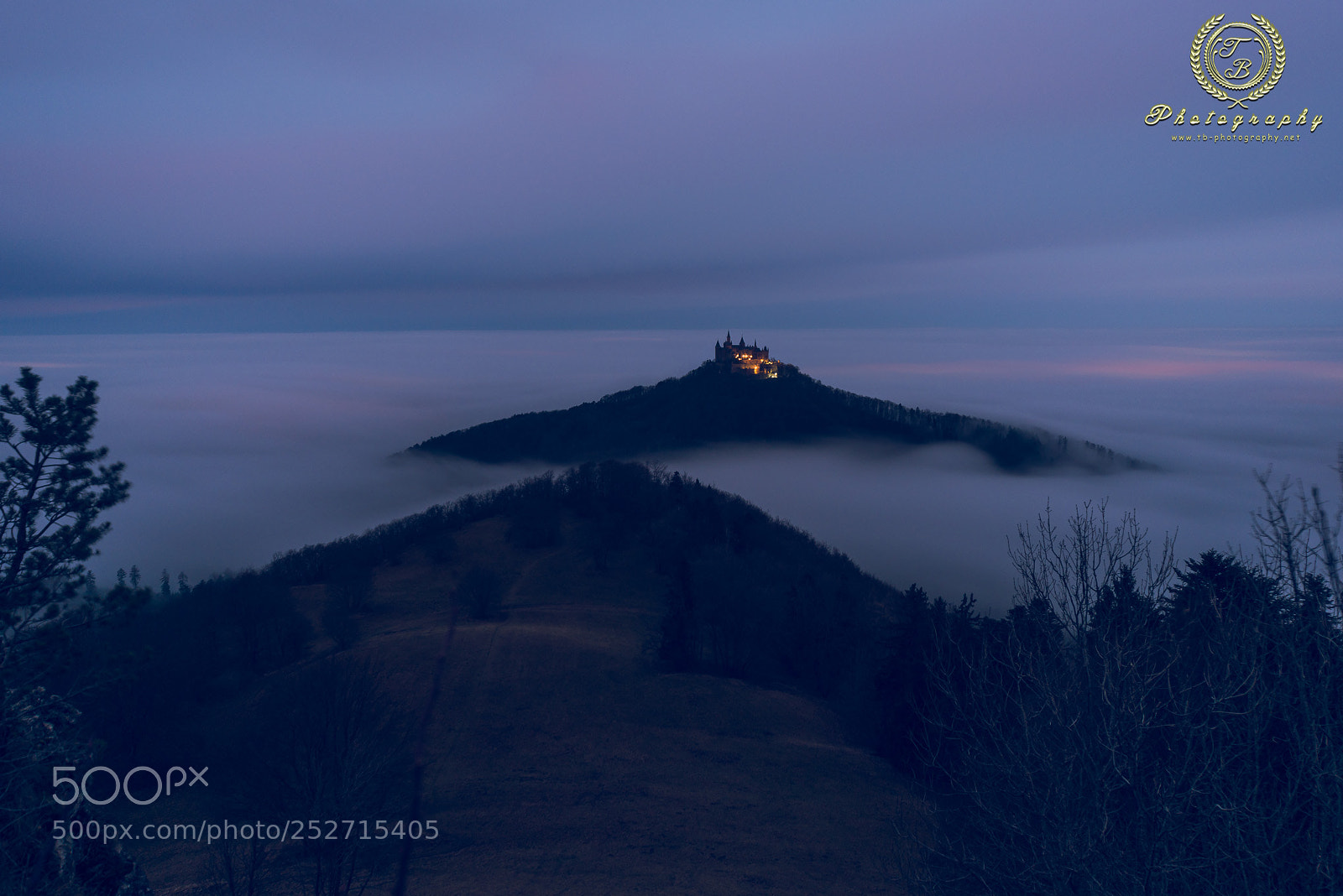 Nikon D800 sample photo. Burg hohenzollern in fr photography