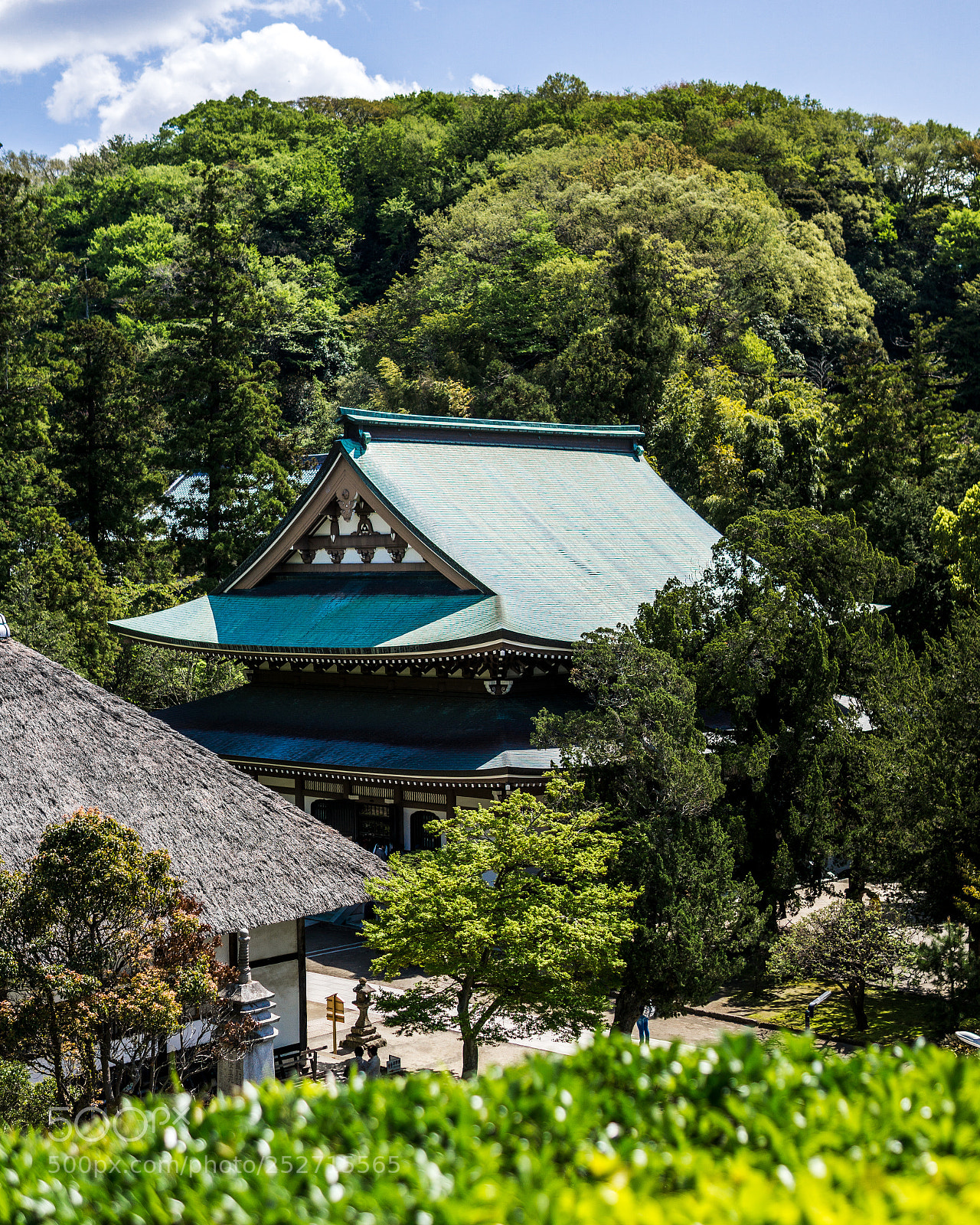 Sony a6000 sample photo. Forest temple photography