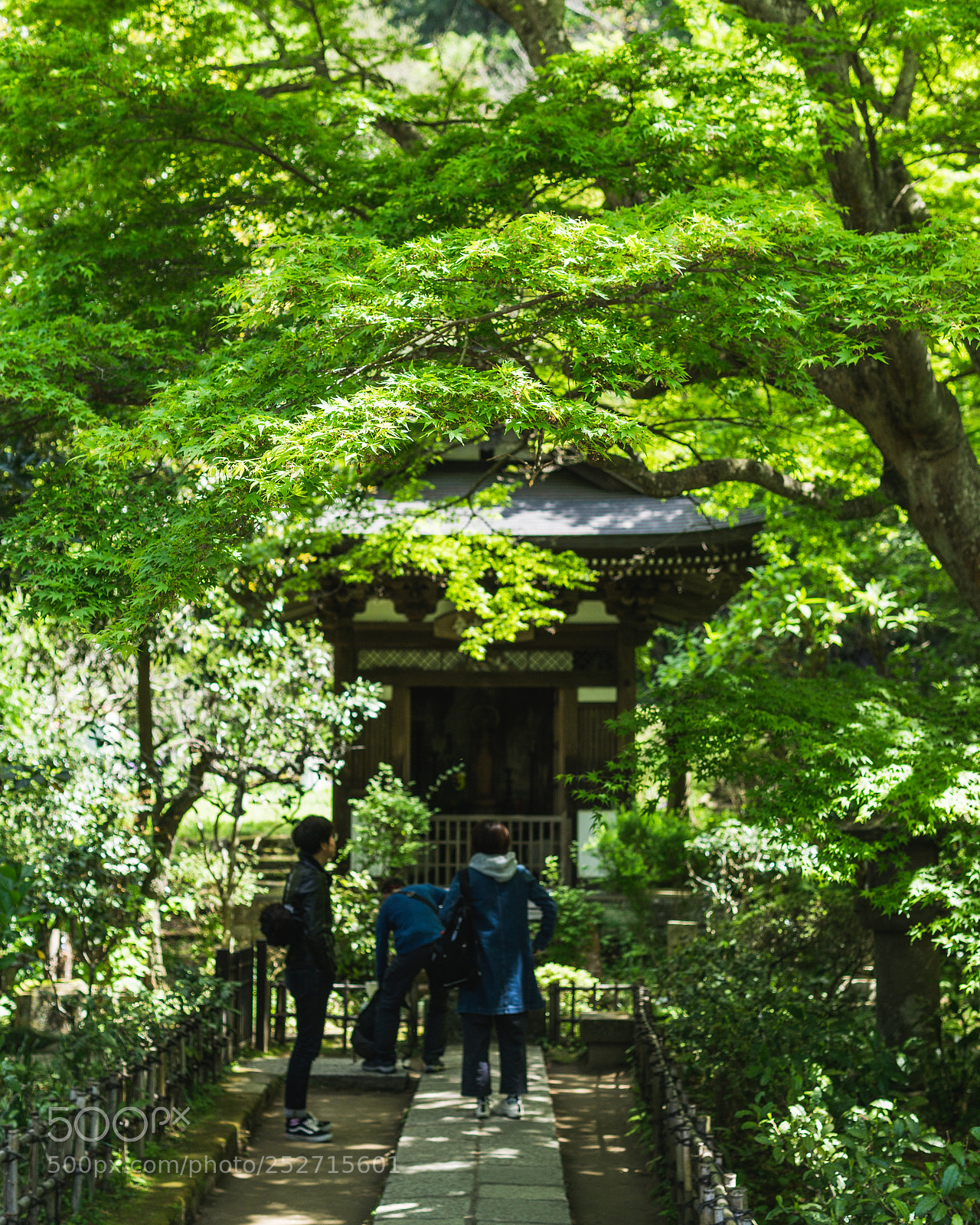 Sony a6000 sample photo. Hidden shrine photography