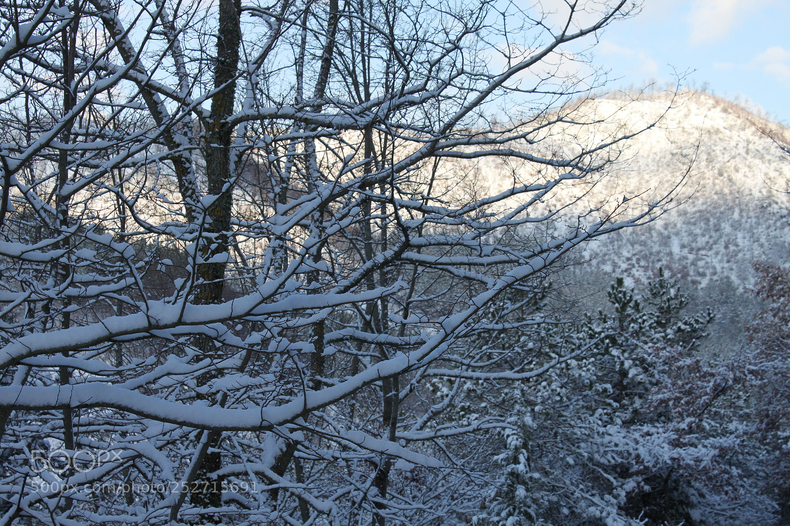 Canon EF-S 18-55mm F3.5-5.6 IS sample photo. Winter wonderland photography