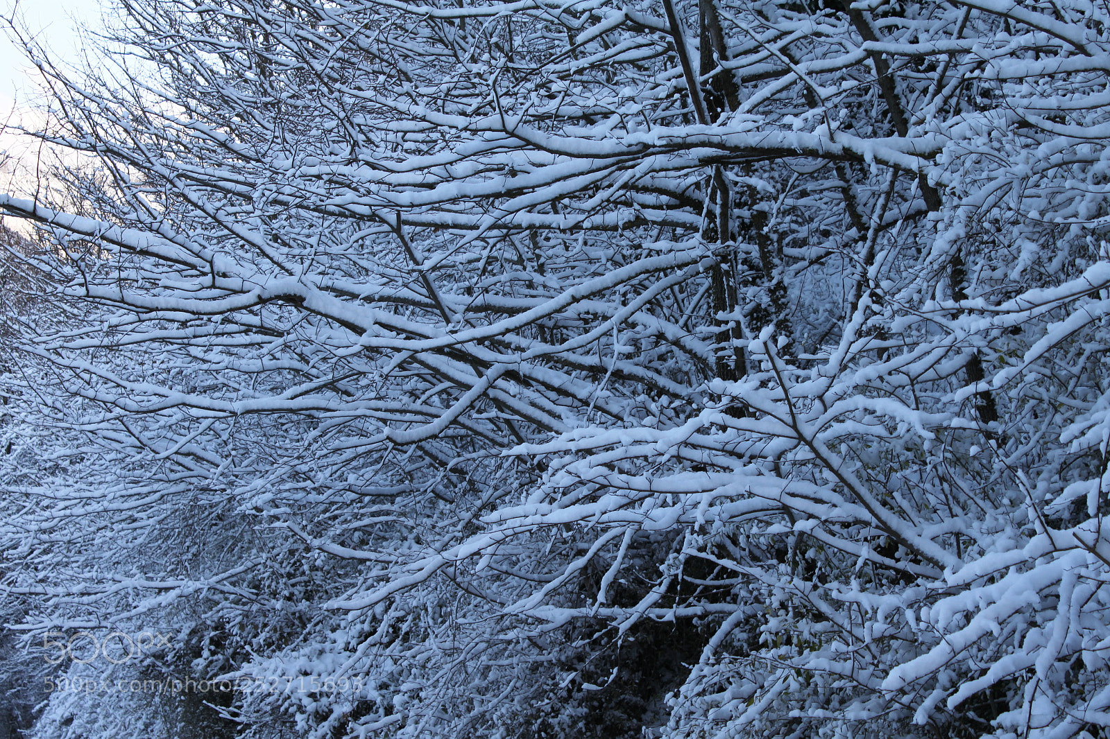 Canon EF-S 18-55mm F3.5-5.6 IS sample photo. Winter wonderland photography