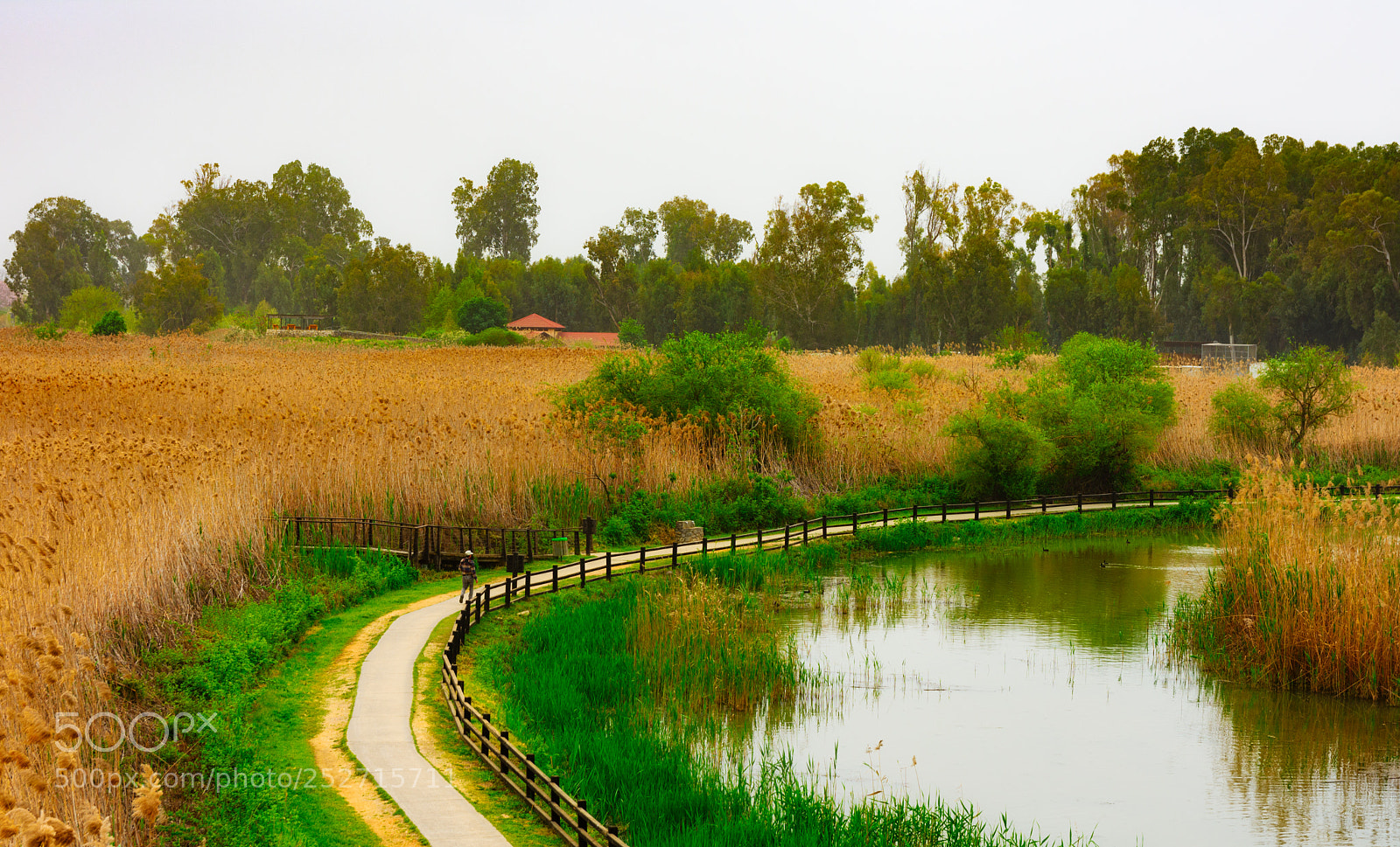 Nikon D7200 sample photo. Hahula nature reserve photography