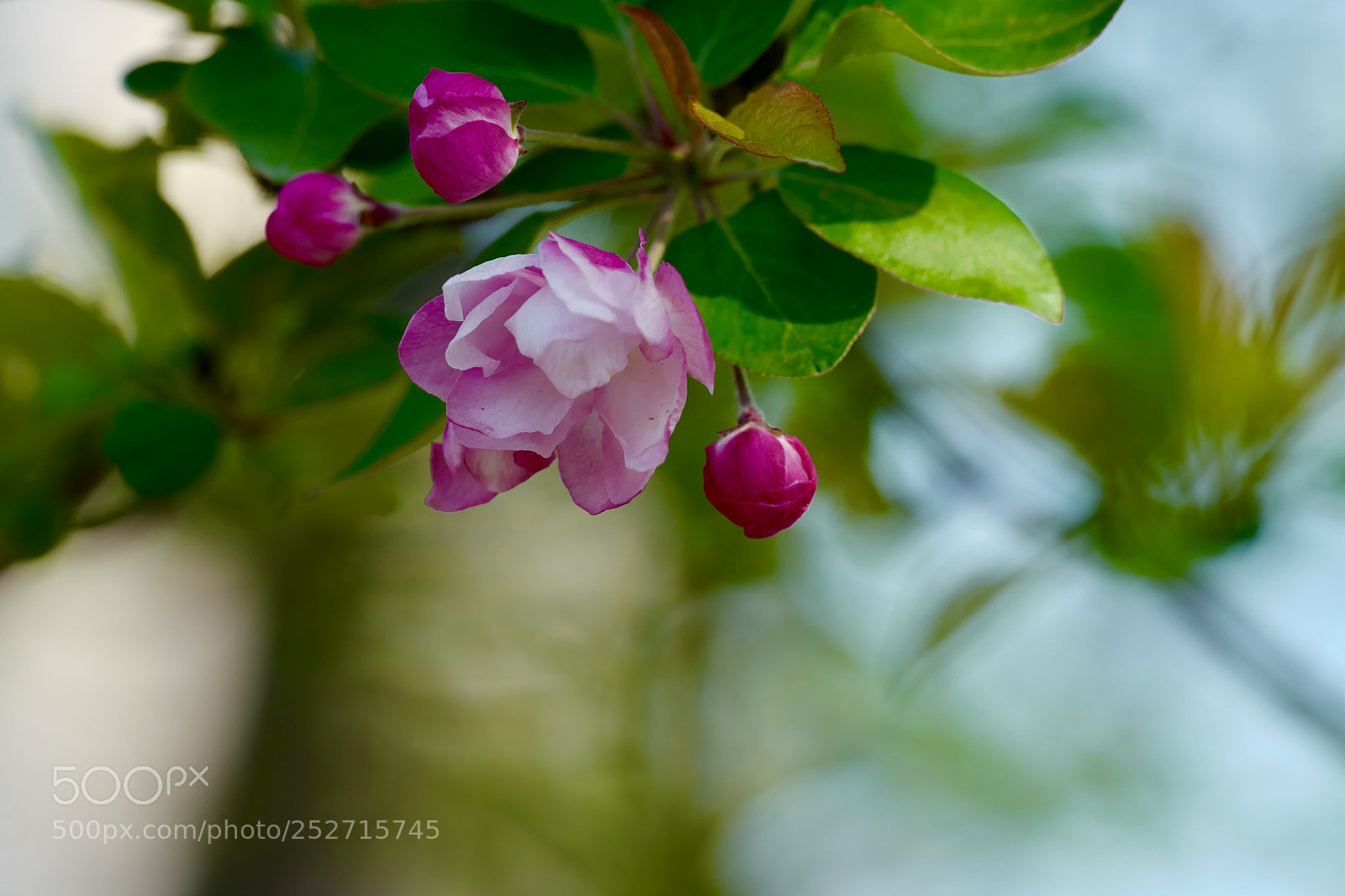 Leica SL (Typ 601) sample photo. Untitled photography