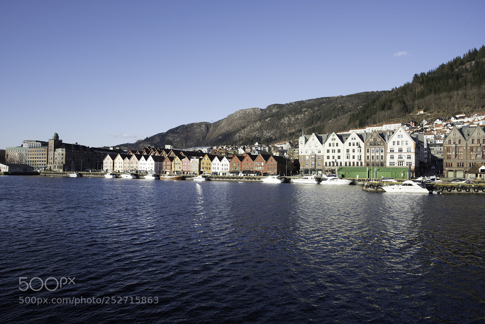 Nikon D810 sample photo. Bergen photography