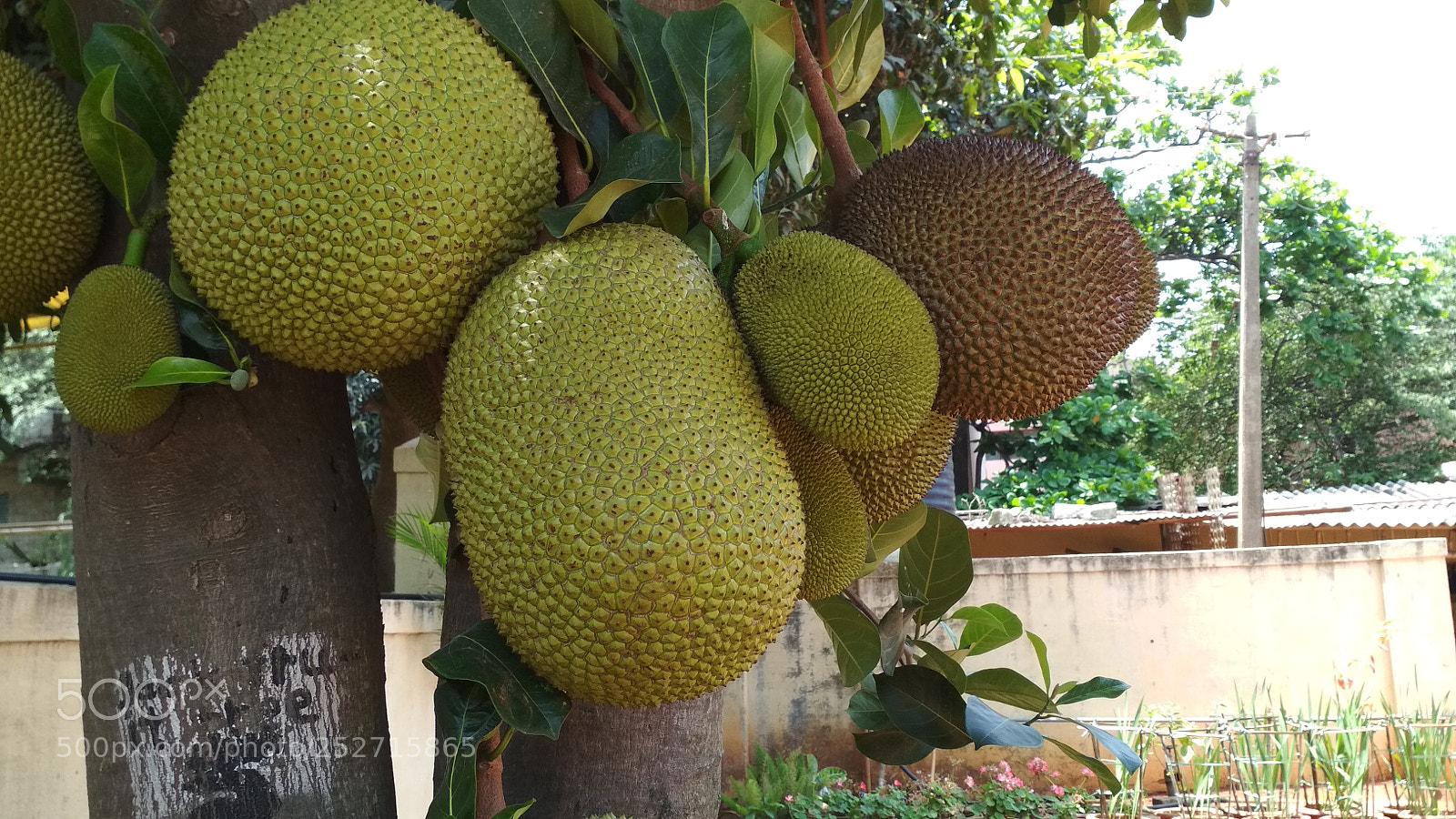 Xiaomi Redmi 4 Pro sample photo. Untitled photography