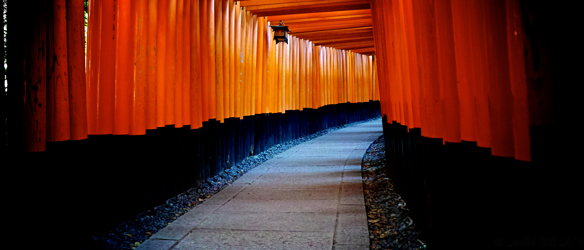 Sigma sd Quattro sample photo. Fushimi shrine photography