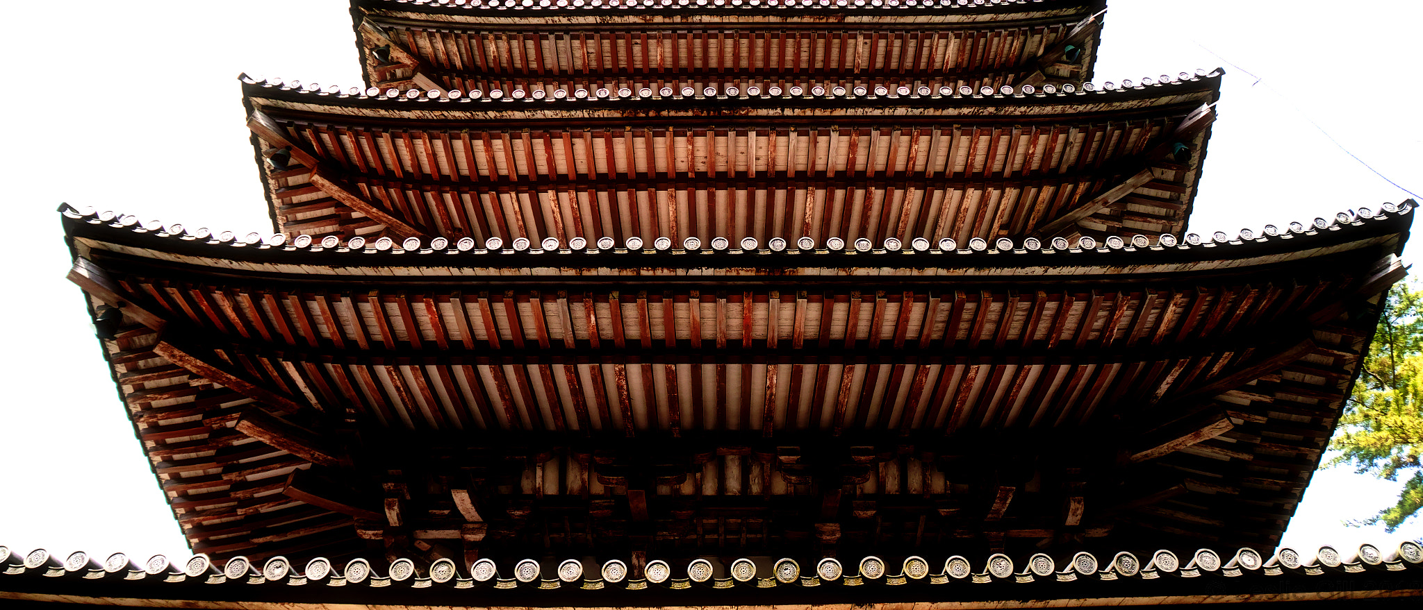 Sigma sd Quattro sample photo. Pagoda photography