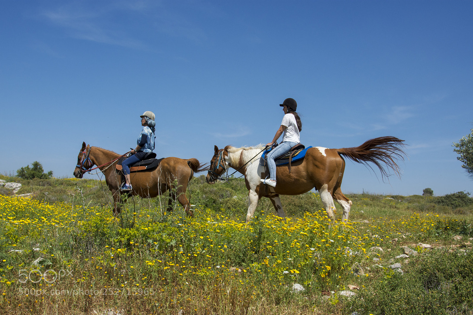 Nikon D7200 sample photo. Riding in the fields photography