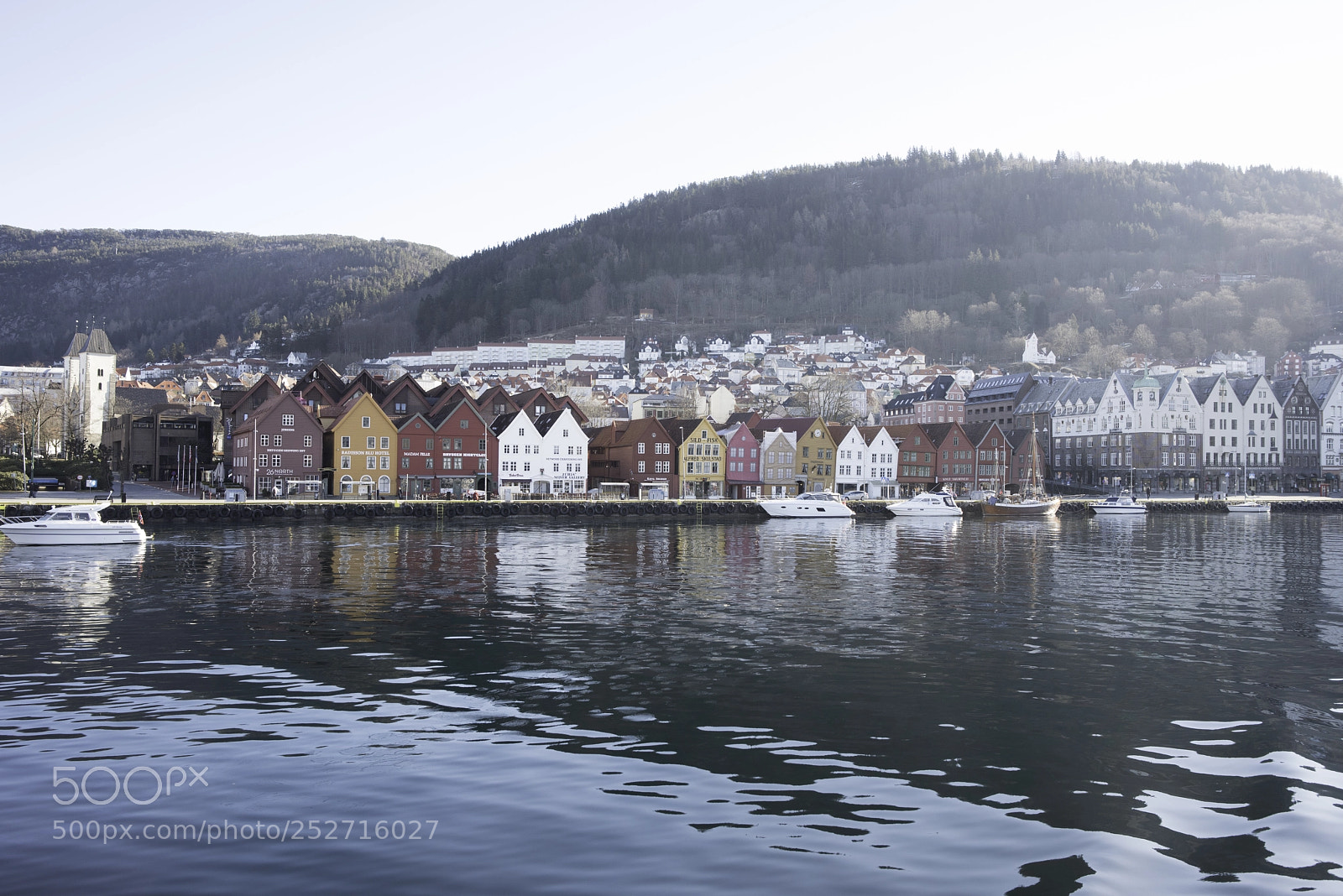 Nikon D810 sample photo. Bergen photography