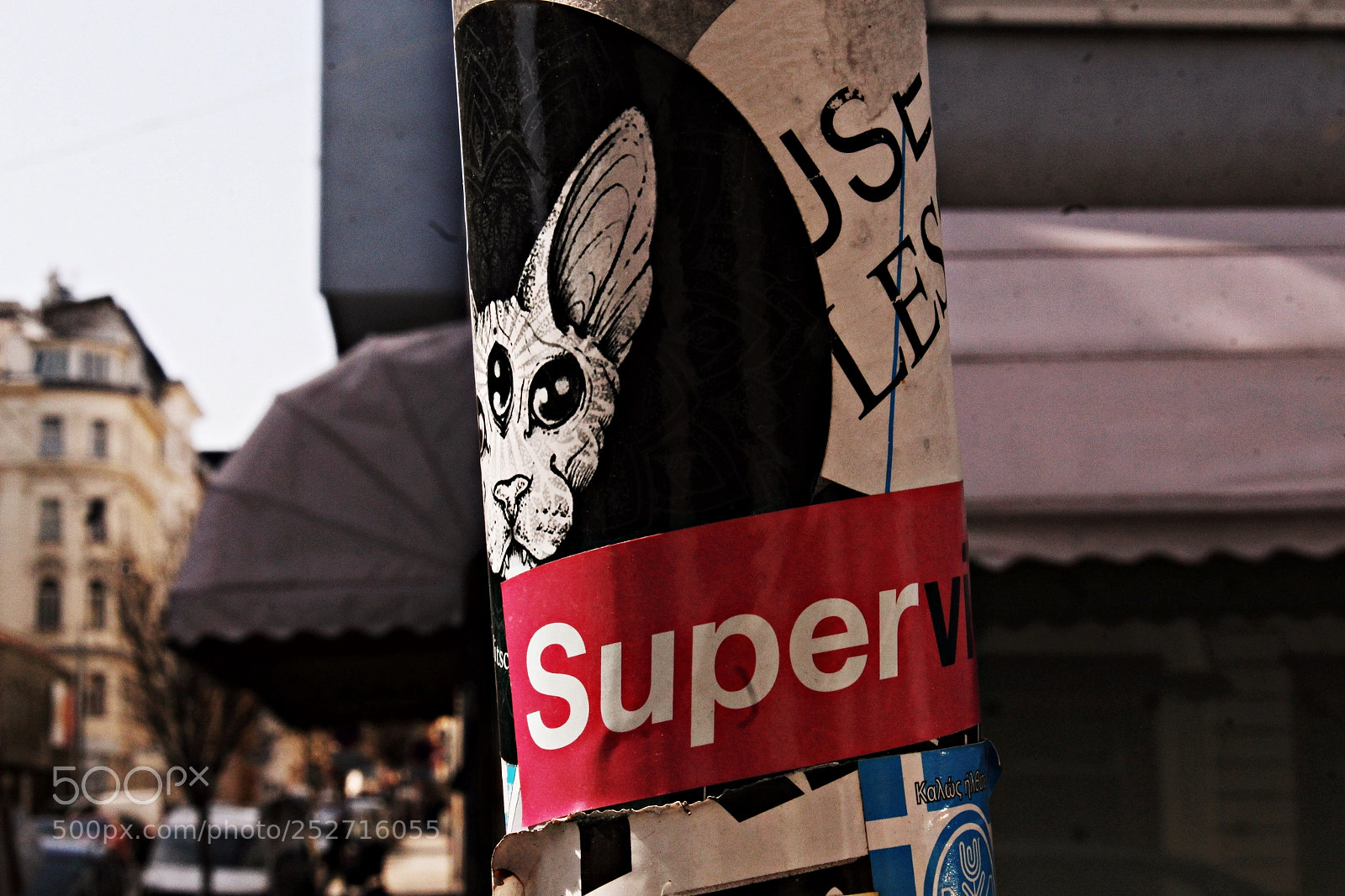 Canon EOS 700D (EOS Rebel T5i / EOS Kiss X7i) sample photo. Just a street thing photography