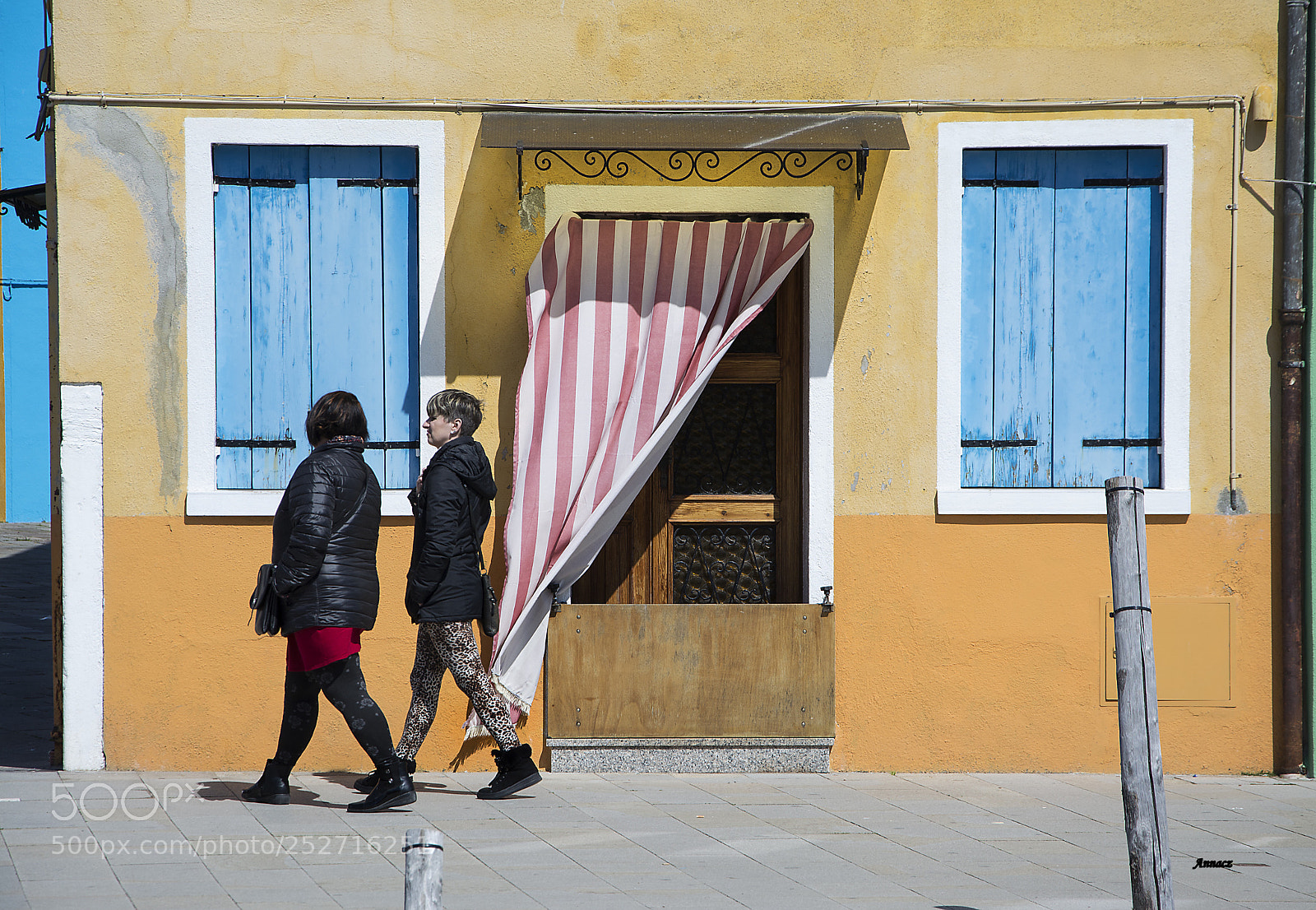 Nikon D5200 sample photo. Real painting  photography