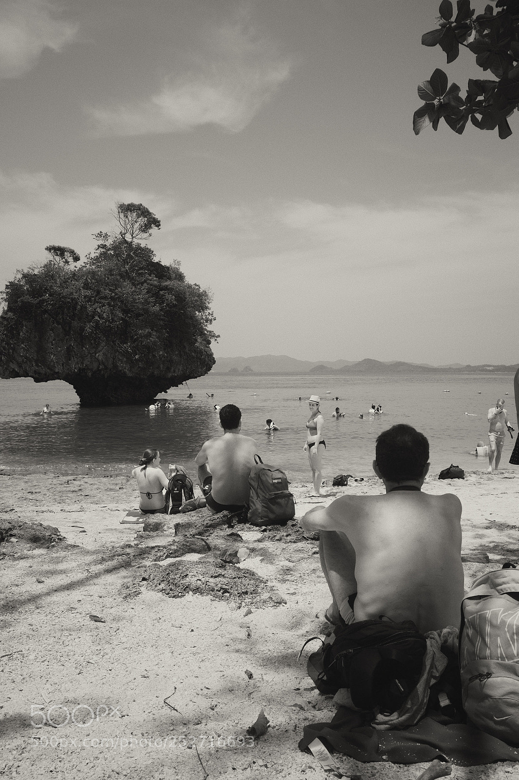 Fujifilm X-E1 sample photo. Evolution photography