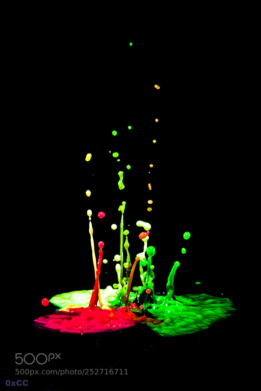 Canon EOS 7D Mark II sample photo. Dancing colour photography