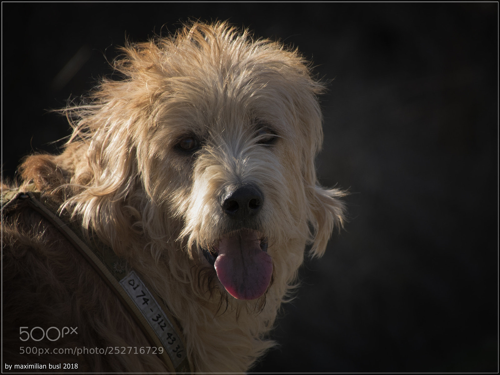 Nikon D850 sample photo. Big boy photography