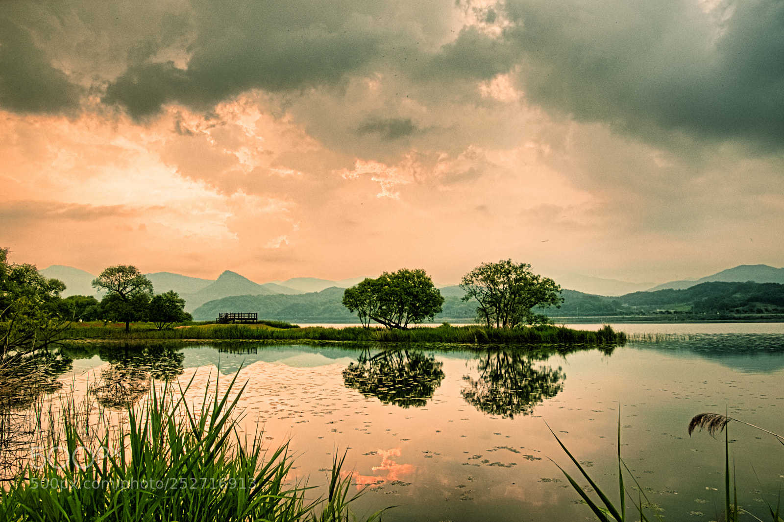 Nikon D5500 sample photo. The reflection of summer photography