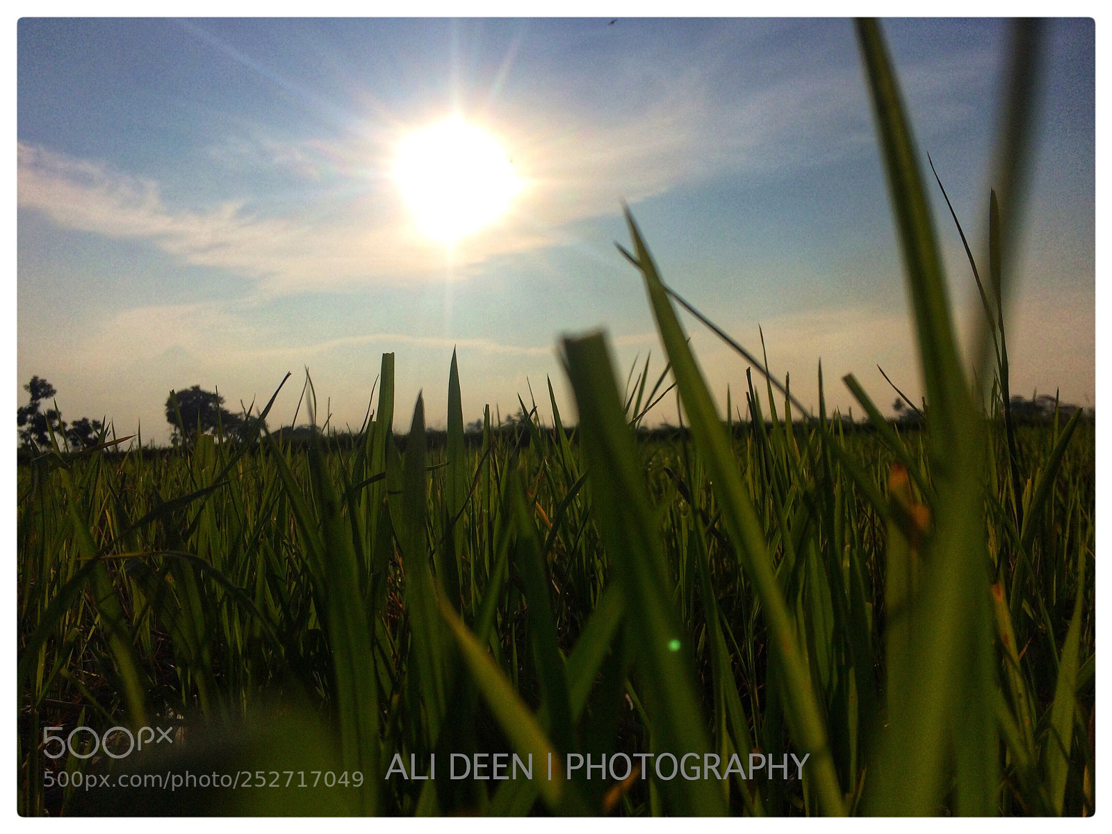 Apple iPhone 5s sample photo. Evening  photography