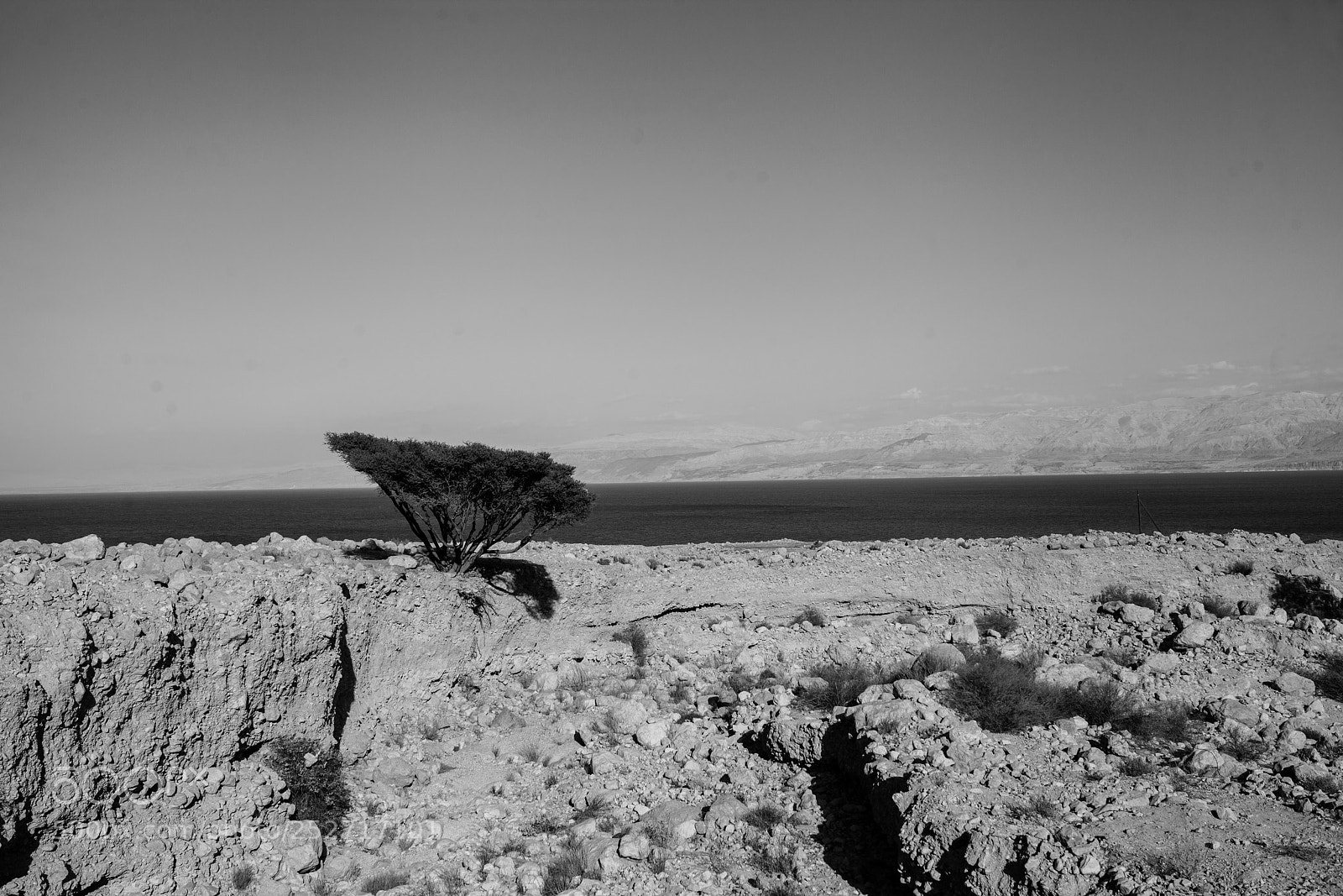 Canon EOS 5D Mark II sample photo. Dead sea photography