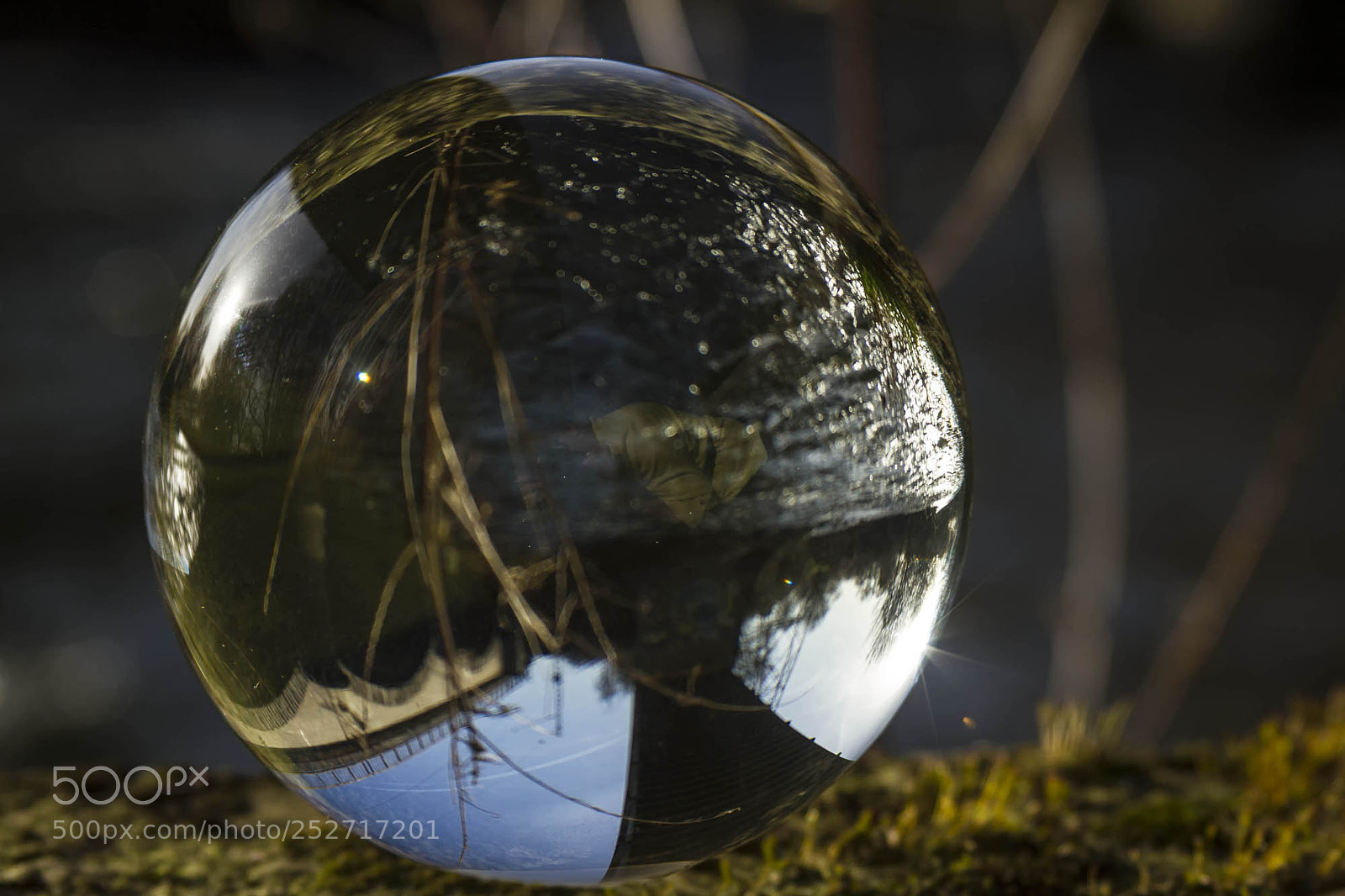 Canon EOS 7D sample photo. Rg - reuschenberg, leverkusen 2 photography