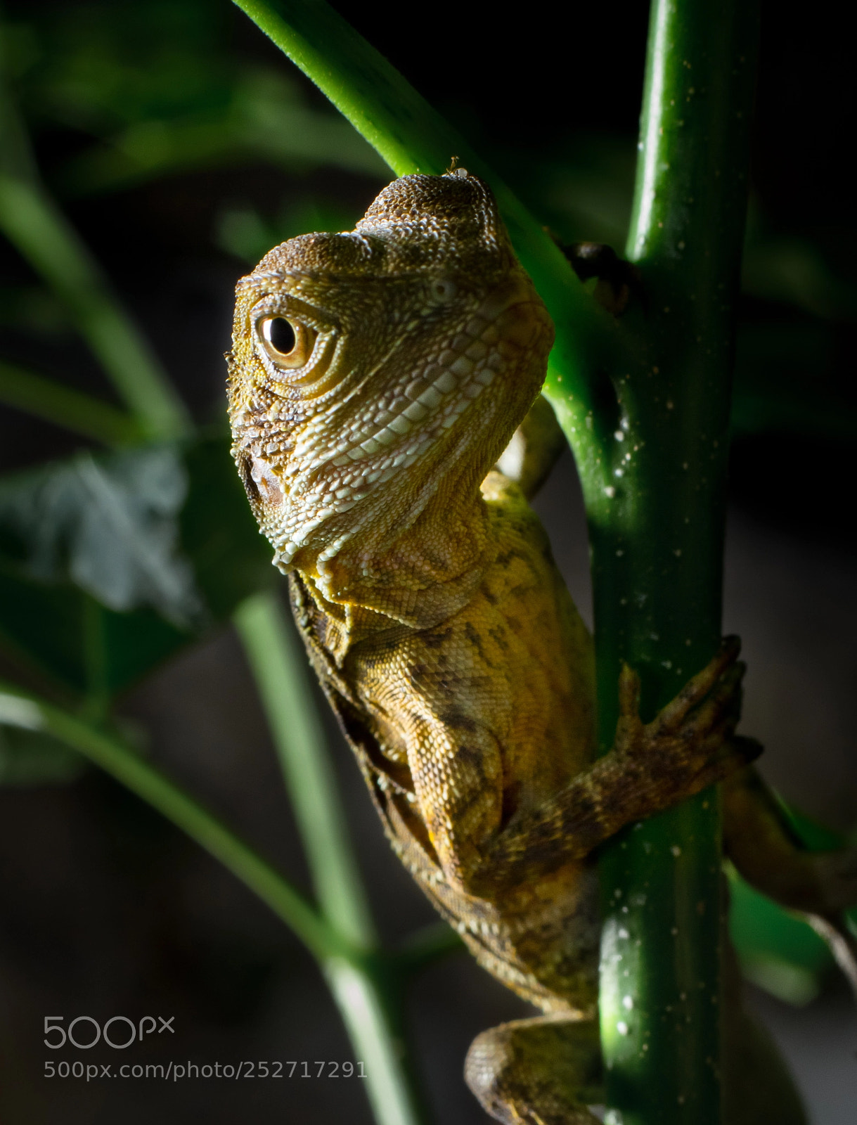 Canon EOS 7D sample photo. ___________ photography