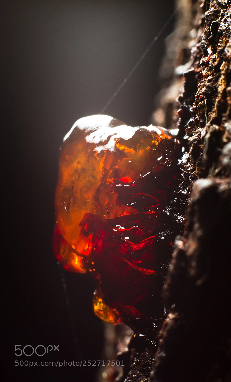 Canon EOS 7D sample photo. ___________ photography