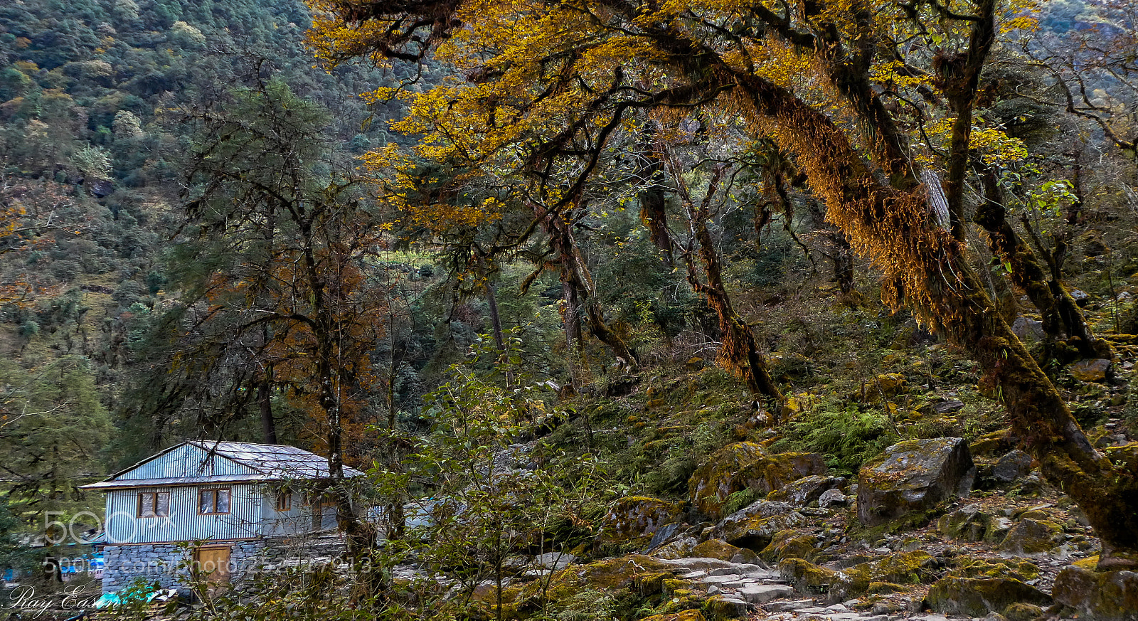 Panasonic Lumix DC-ZS70 (Lumix DC-TZ90) sample photo. Images of nepal photography