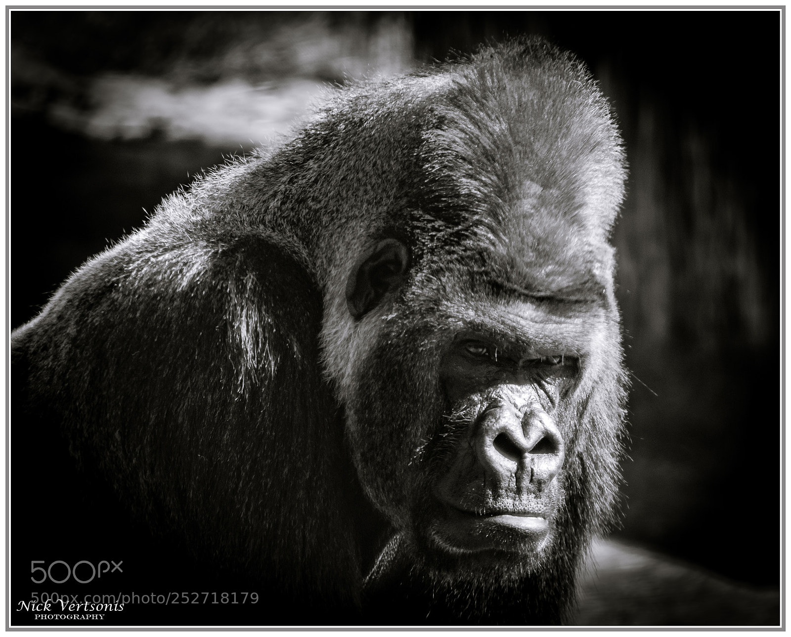 Nikon D7200 sample photo. Deep in thought... photography