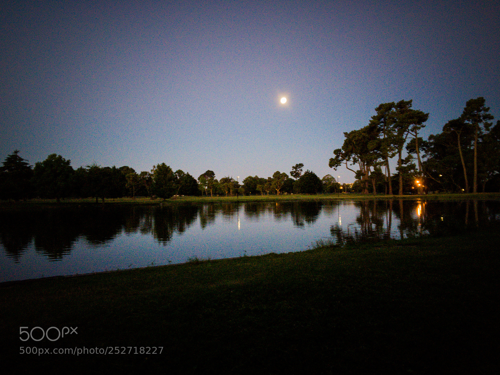 Apple iPhone 6s sample photo. Hagley park photography