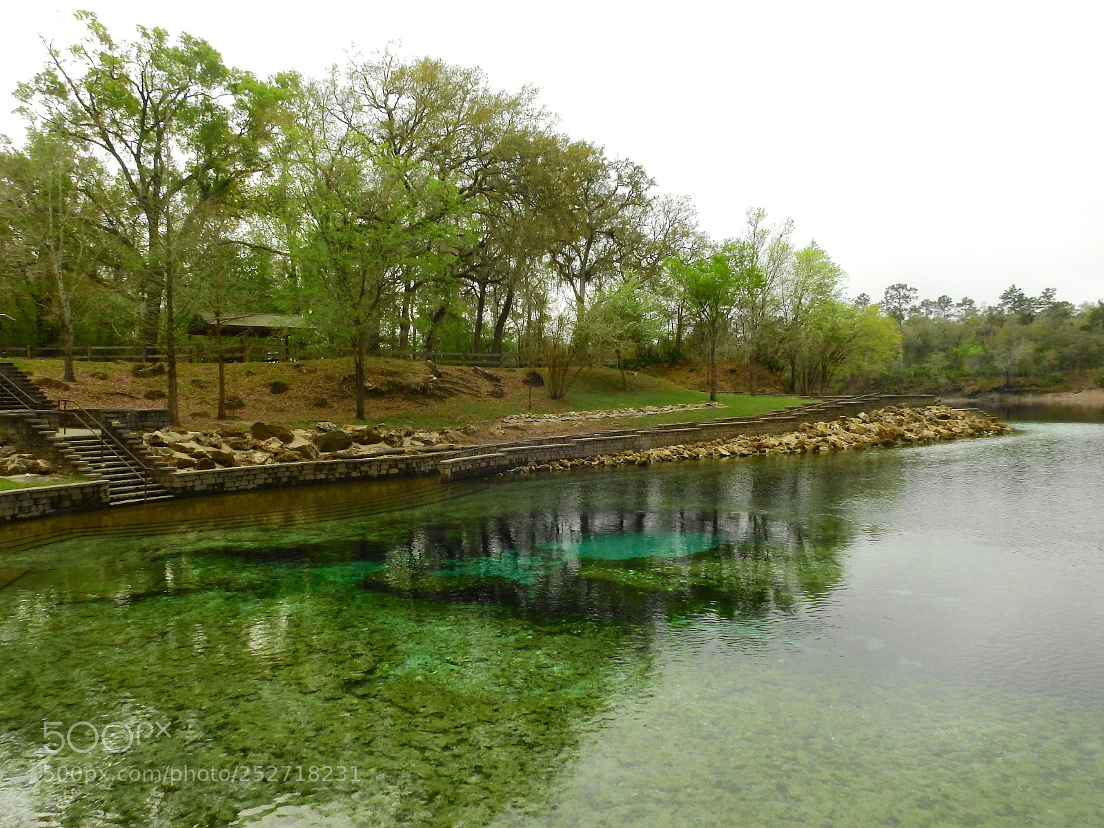 Nikon Coolpix P900 sample photo. Little river spring photography