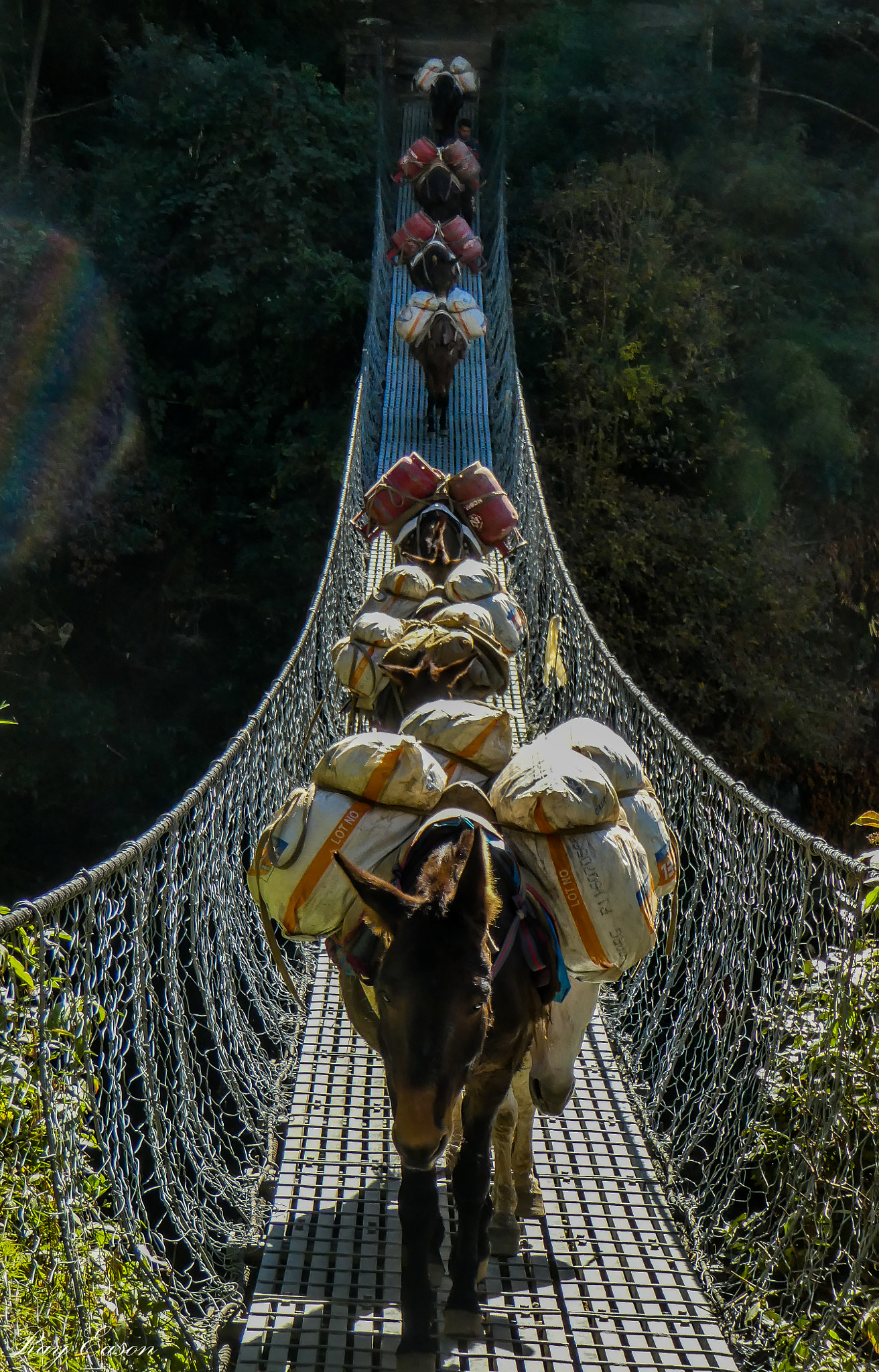 Panasonic Lumix DMC-ZS60 (Lumix DMC-TZ80) sample photo. Himalayan bridge photography