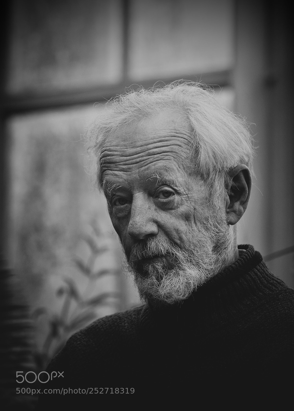 Fujifilm X-T2 sample photo. Frank photography