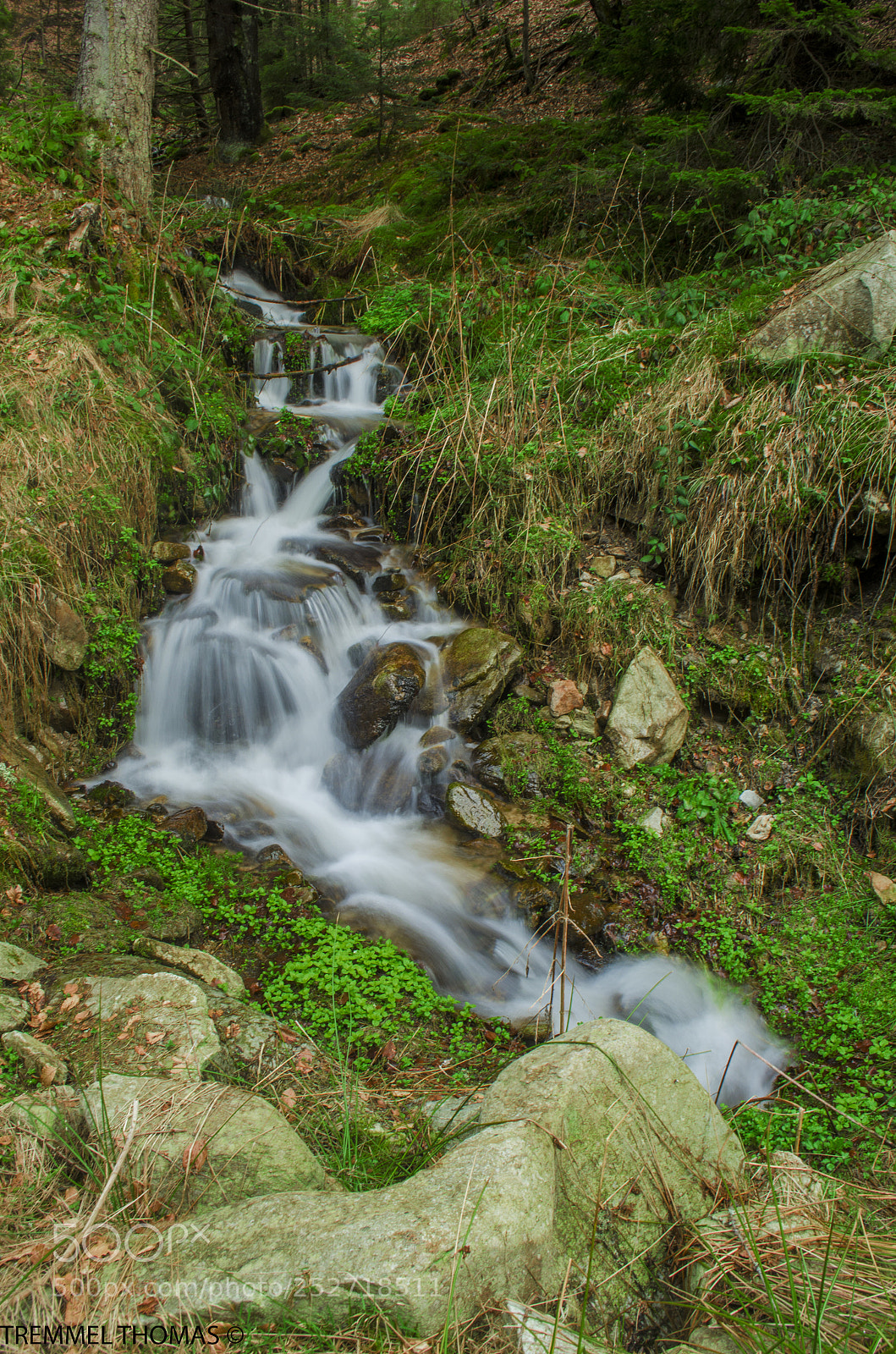 Nikon D5100 sample photo. Waterfall in the middle photography