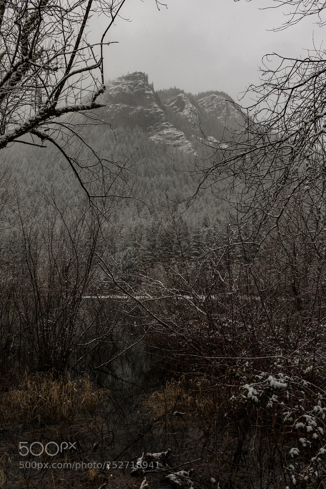 Canon EOS 5D Mark IV sample photo. Rattlesnake ridge from rattlesnake photography