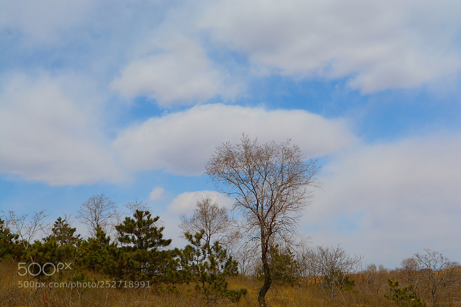 Nikon D7100 sample photo. Untitled photography