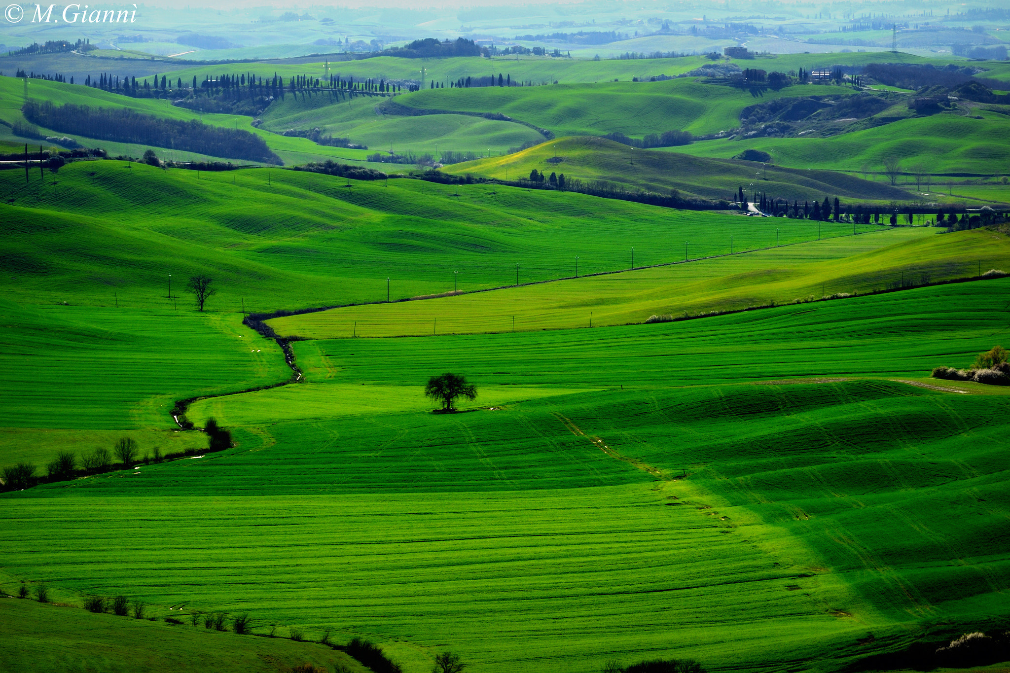 Nikon D3100 sample photo. Siena - spring 2018 photography