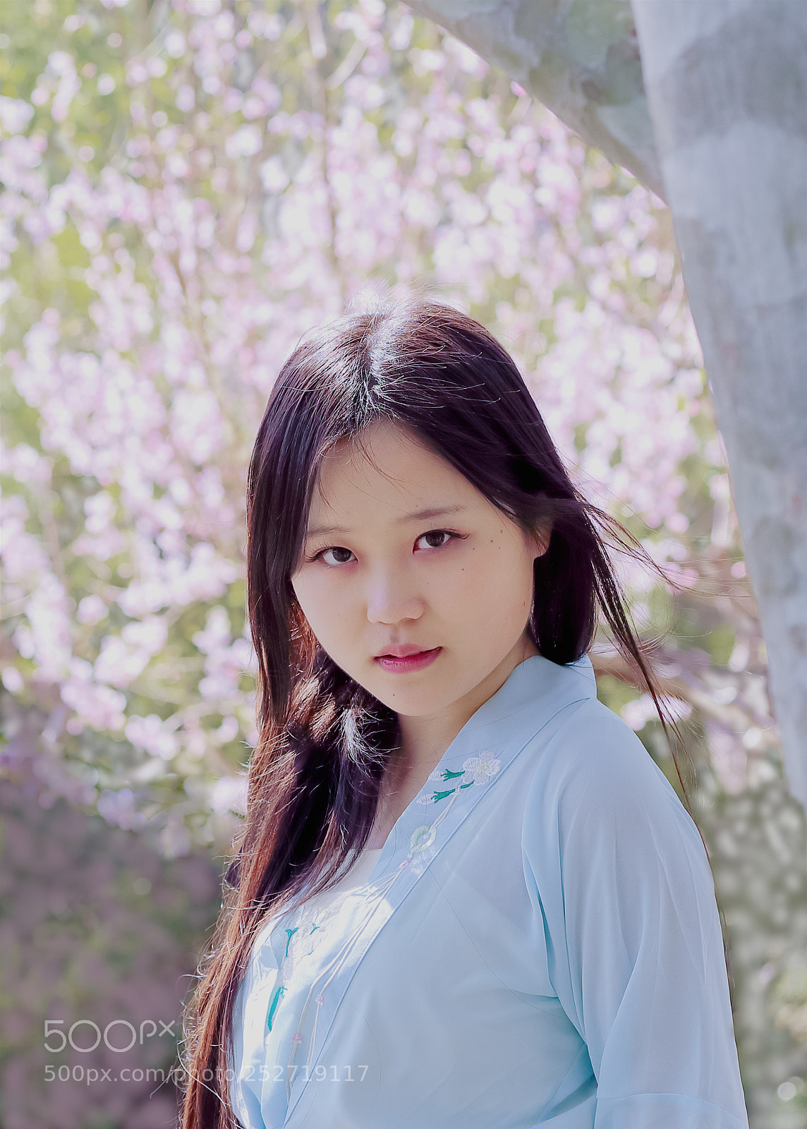 Canon EOS-1D X Mark II sample photo. 北海公园抓拍 photography