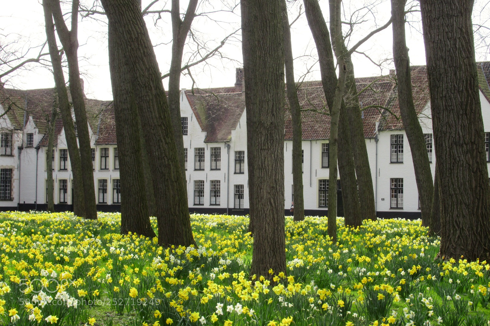 Canon PowerShot SX620 HS sample photo. Bruges photography