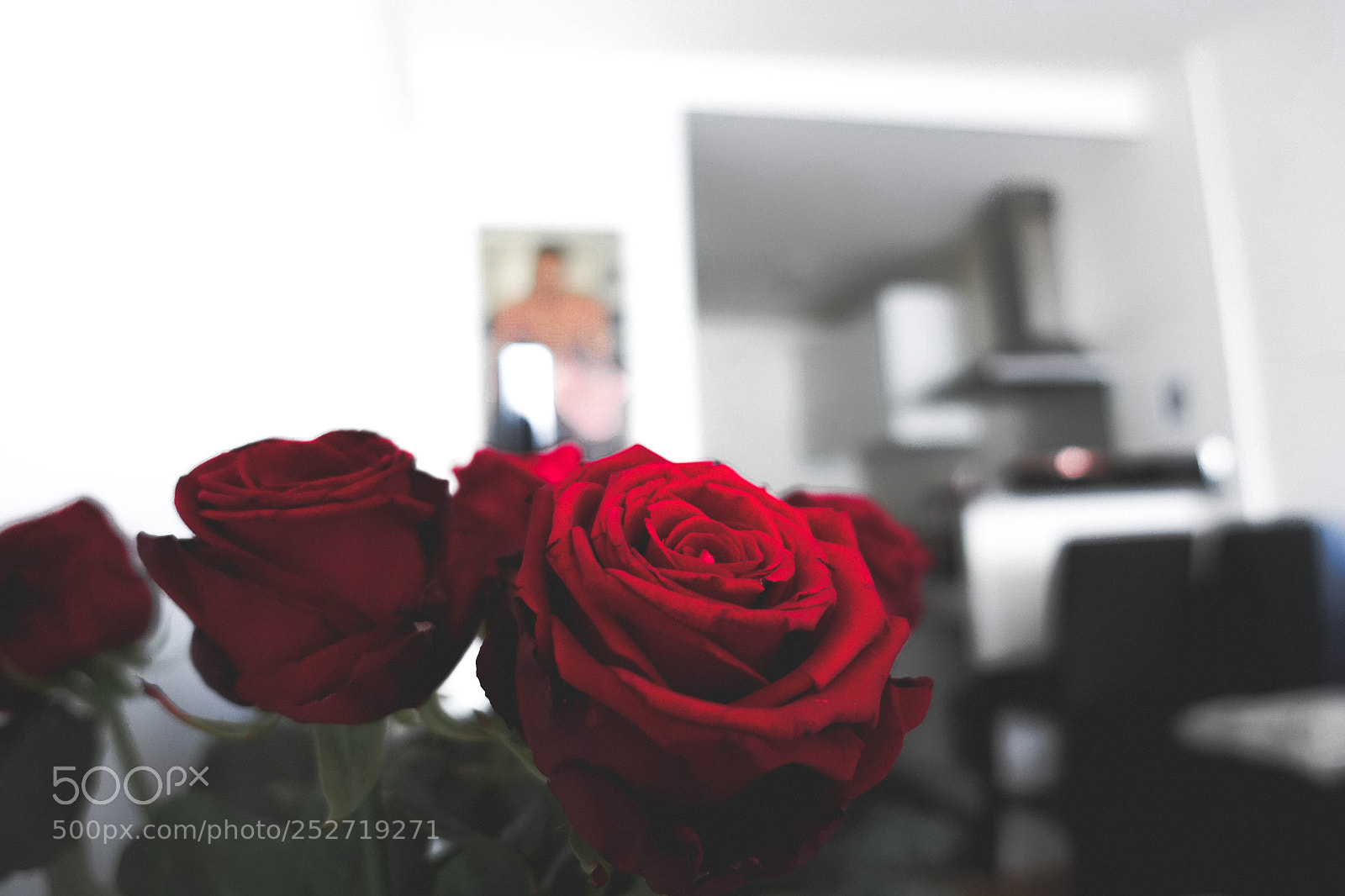 Sony Cyber-shot DSC-RX100 III sample photo. Roses rouges photography