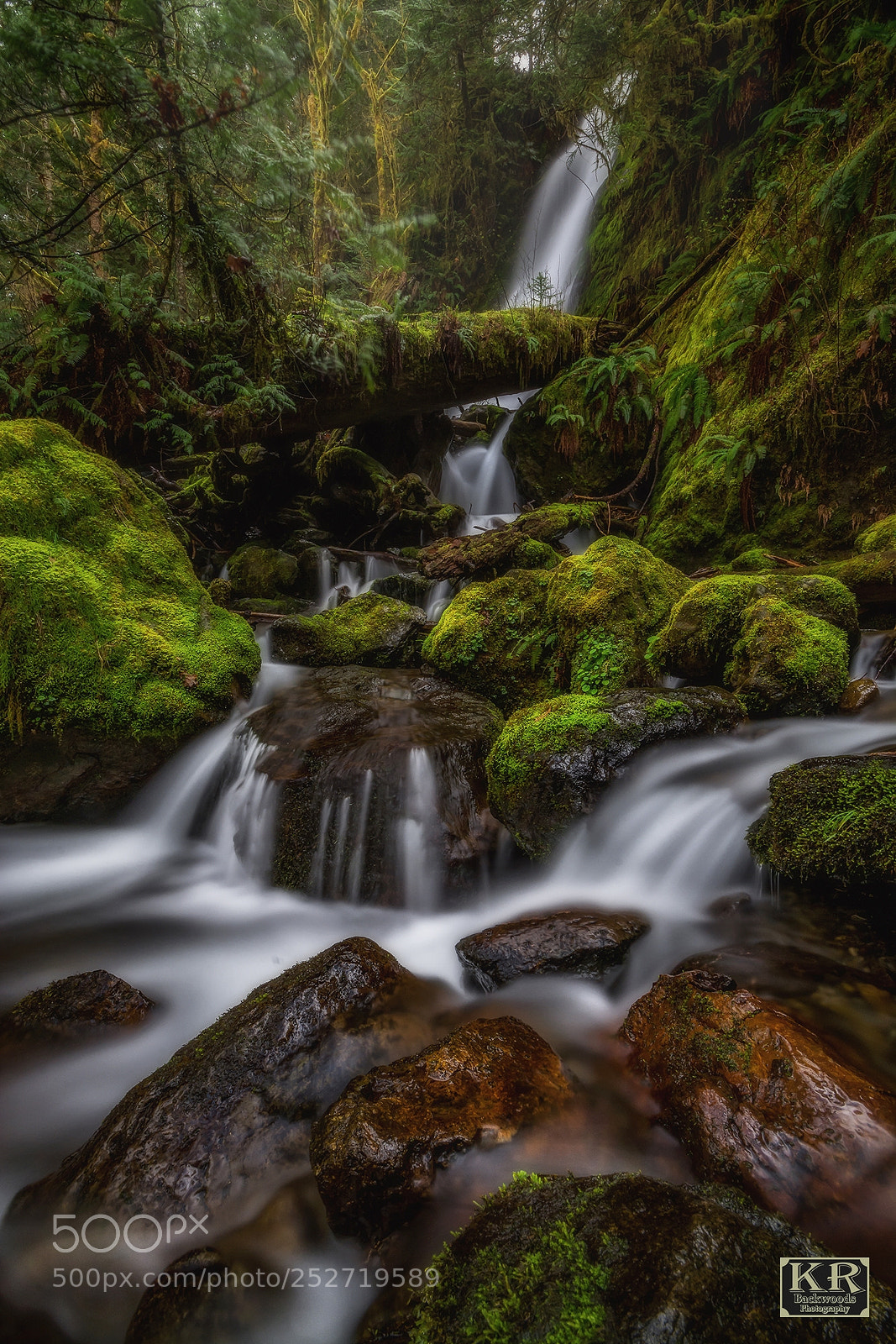 Nikon D7100 sample photo. Flows of merriman photography