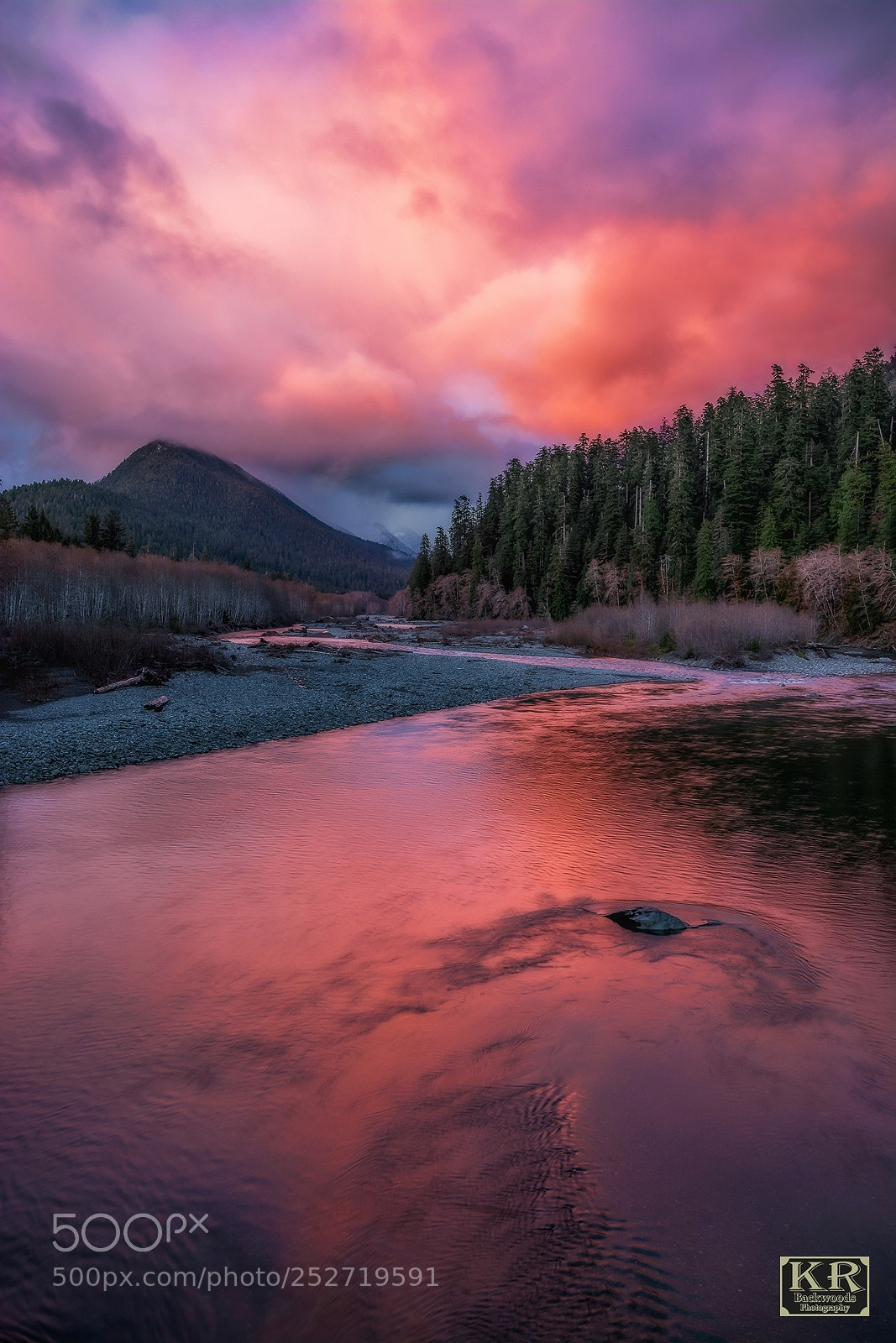 Nikon D7100 sample photo. Fire over quinault photography