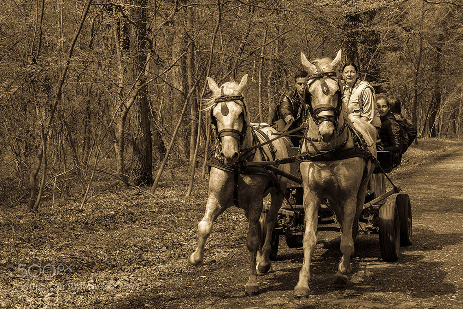 Canon EOS 1200D (EOS Rebel T5 / EOS Kiss X70 / EOS Hi) sample photo. Riding through the forest photography