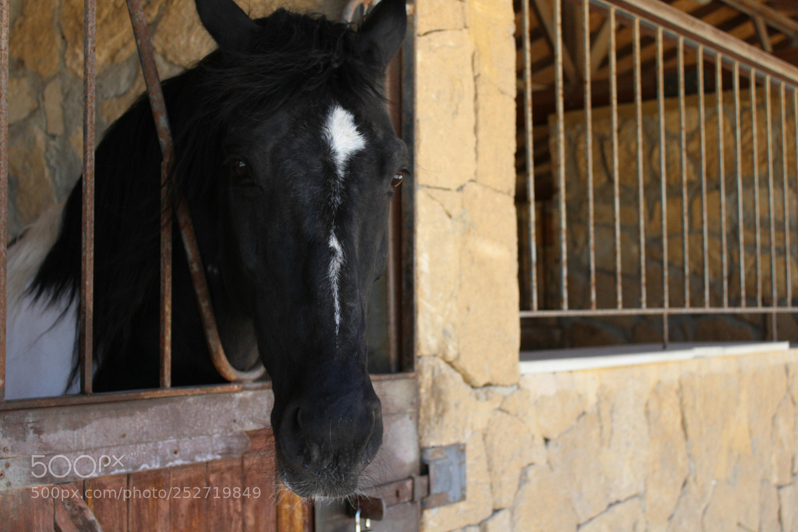 Canon EOS 700D (EOS Rebel T5i / EOS Kiss X7i) sample photo. Untitled photography
