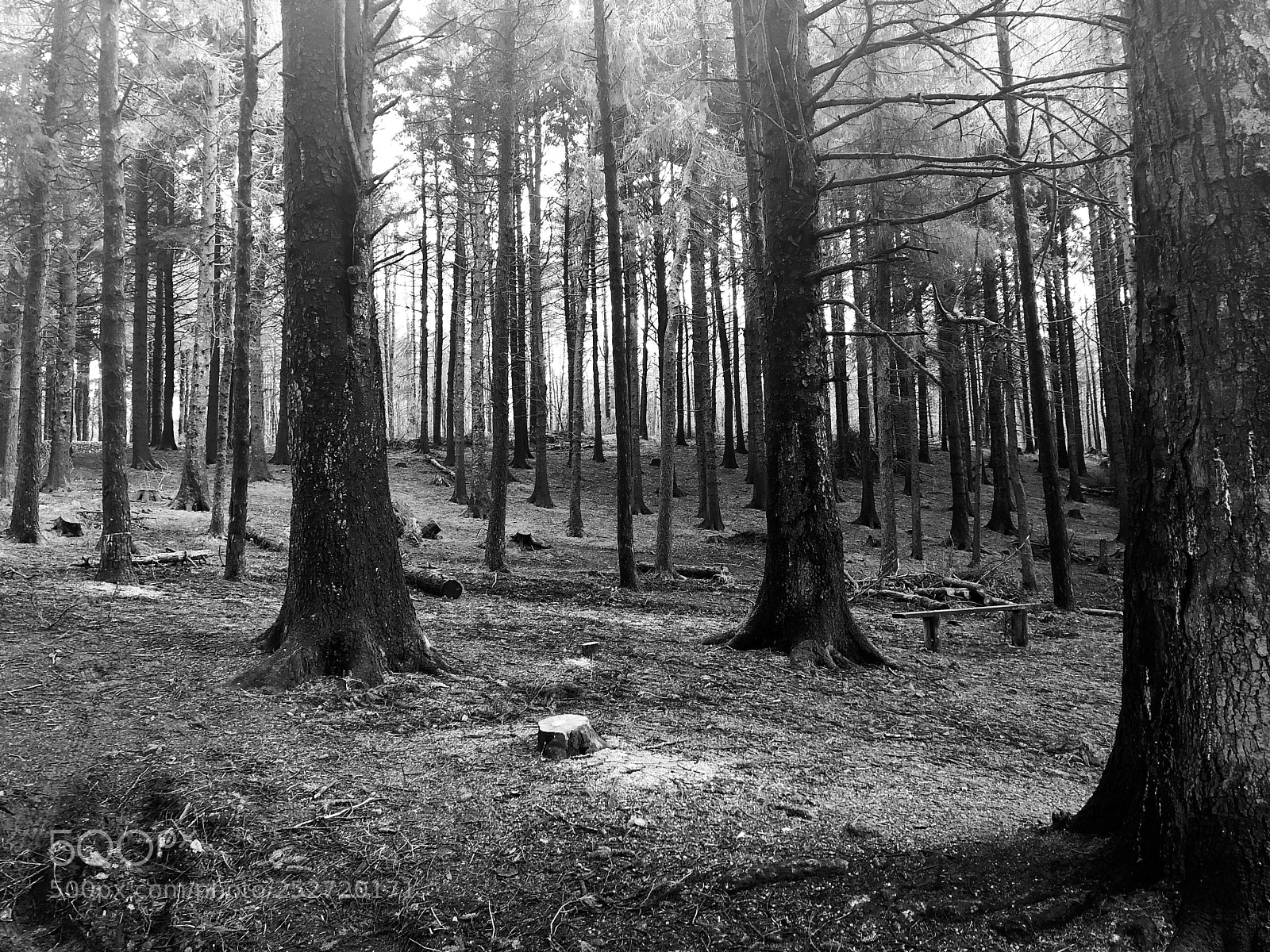 Apple iPhone 8 sample photo. Beacon fell national park photography