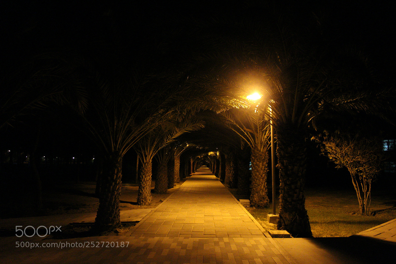 Canon EOS 700D (EOS Rebel T5i / EOS Kiss X7i) sample photo. Untitled photography