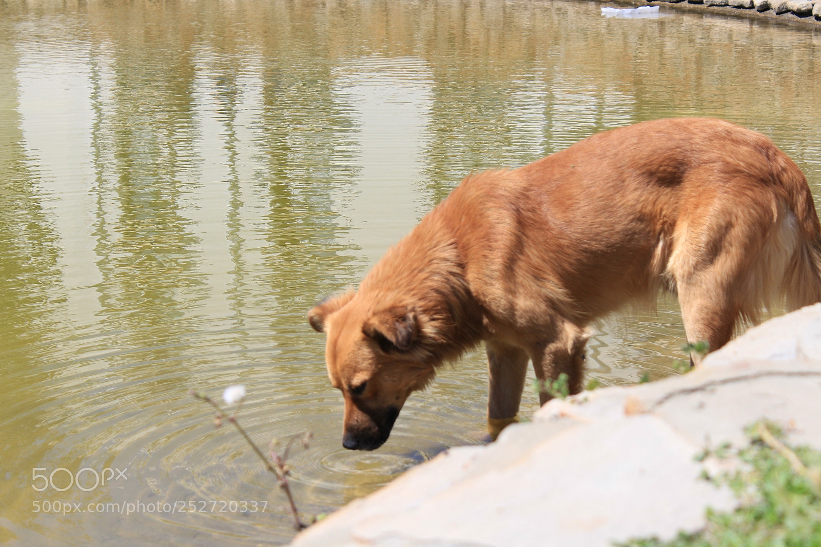 Canon EOS 700D (EOS Rebel T5i / EOS Kiss X7i) sample photo. Untitled photography