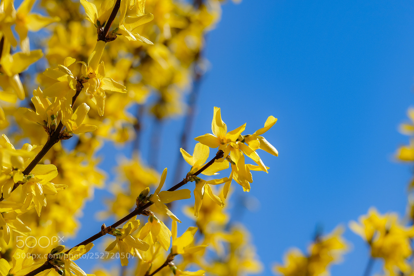 Fujifilm X-E3 sample photo. Spring is here ! 4 photography