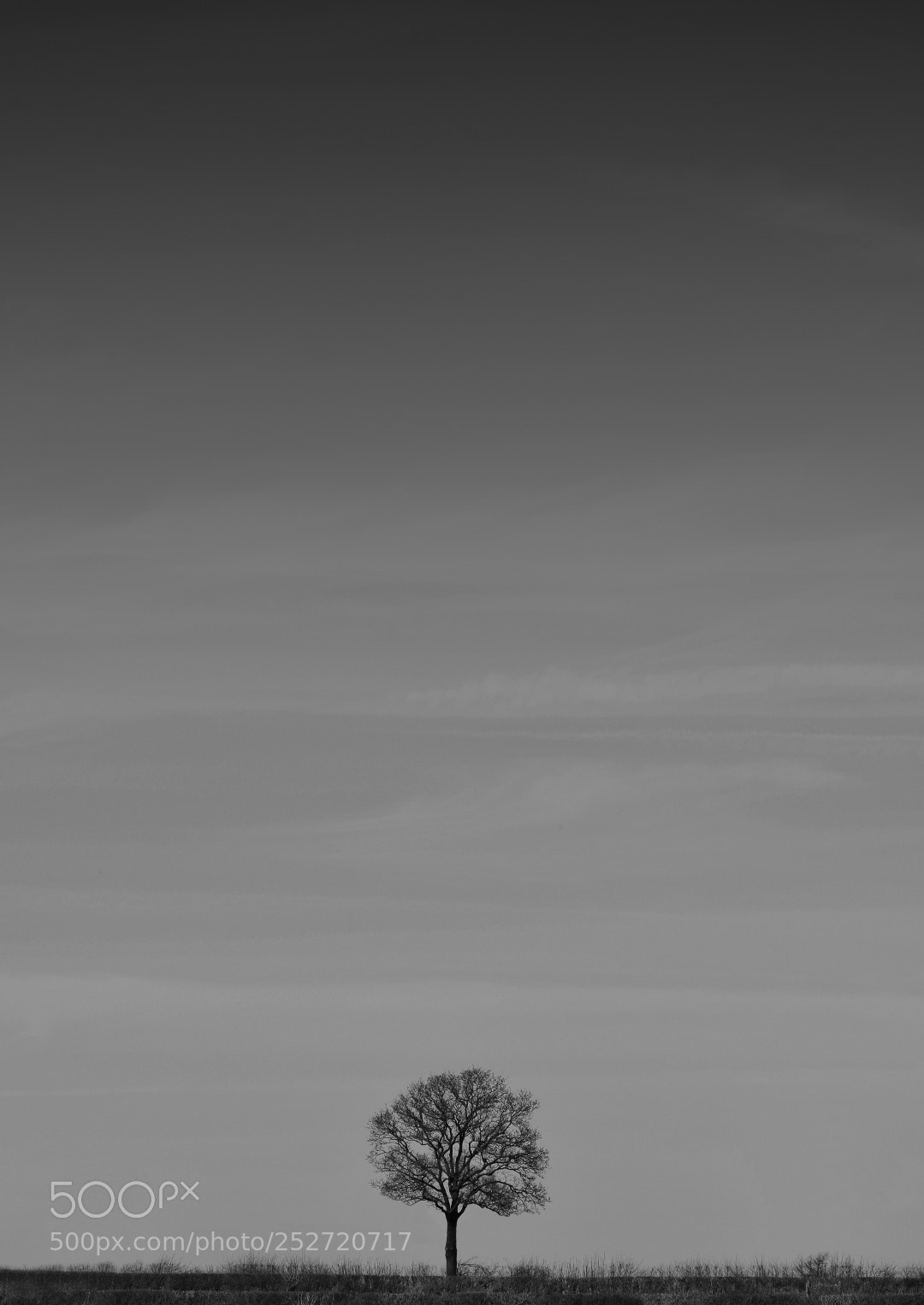 Nikon D3300 sample photo. Solitude photography