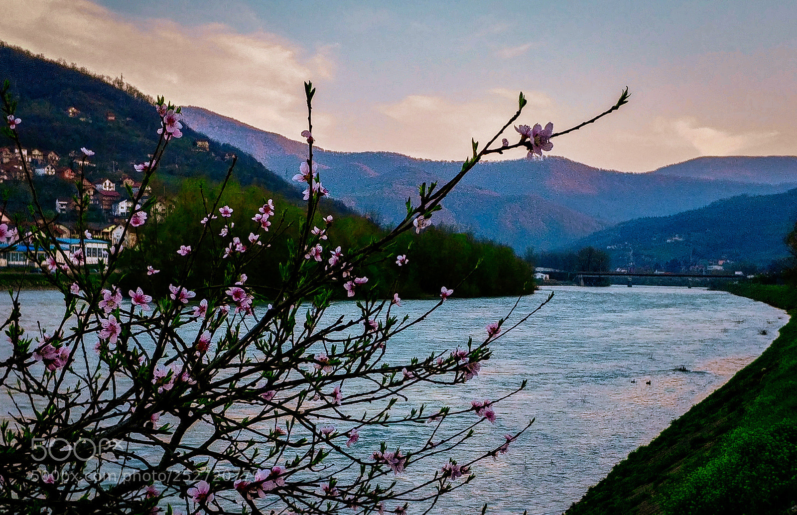 LG G6 sample photo. Springfeel photography