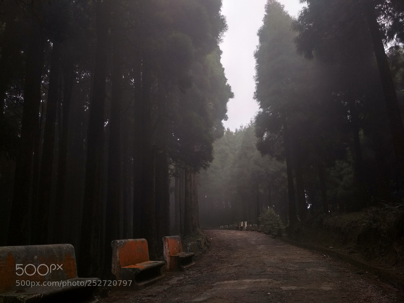 Xiaomi Redmi 4 Pro sample photo. Untitled photography