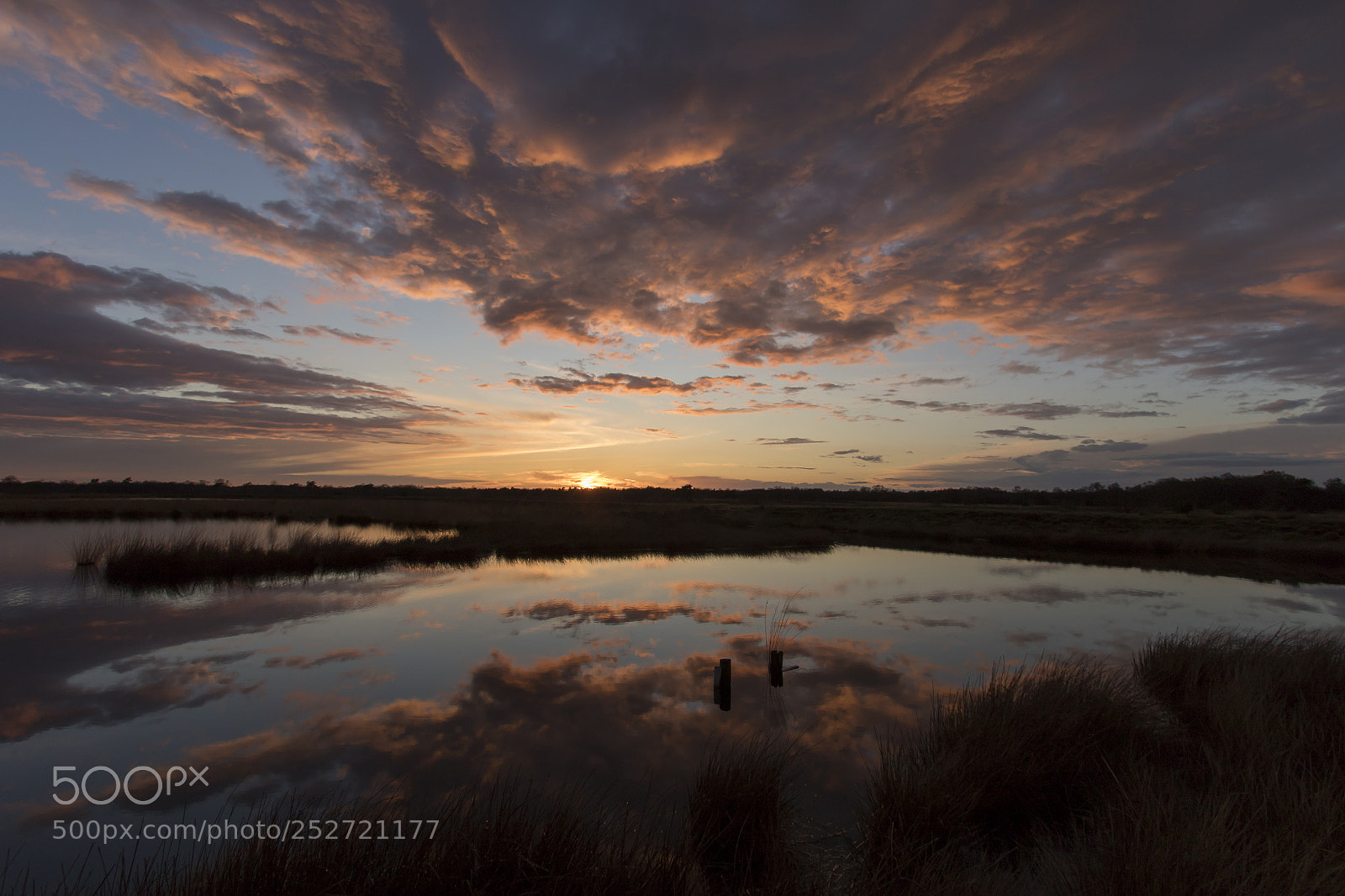 Canon EOS 7D Mark II sample photo. Evening sunset photography